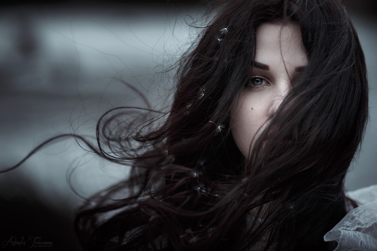 Woman with long dark hair and dandelion seeds HD Wallpaper