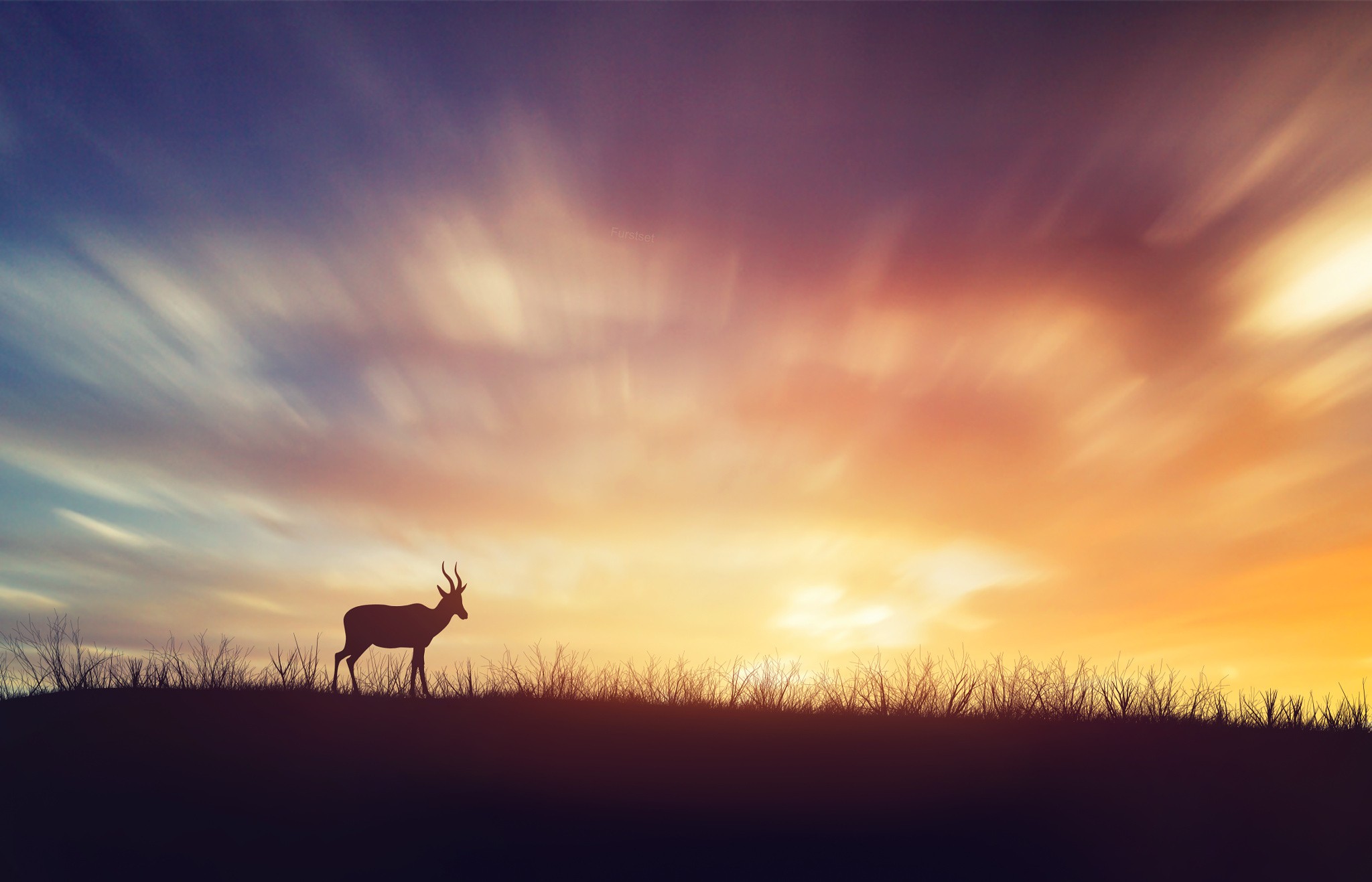 Silhouette of a deer on a grassy hill at sunset HD Wallpaper