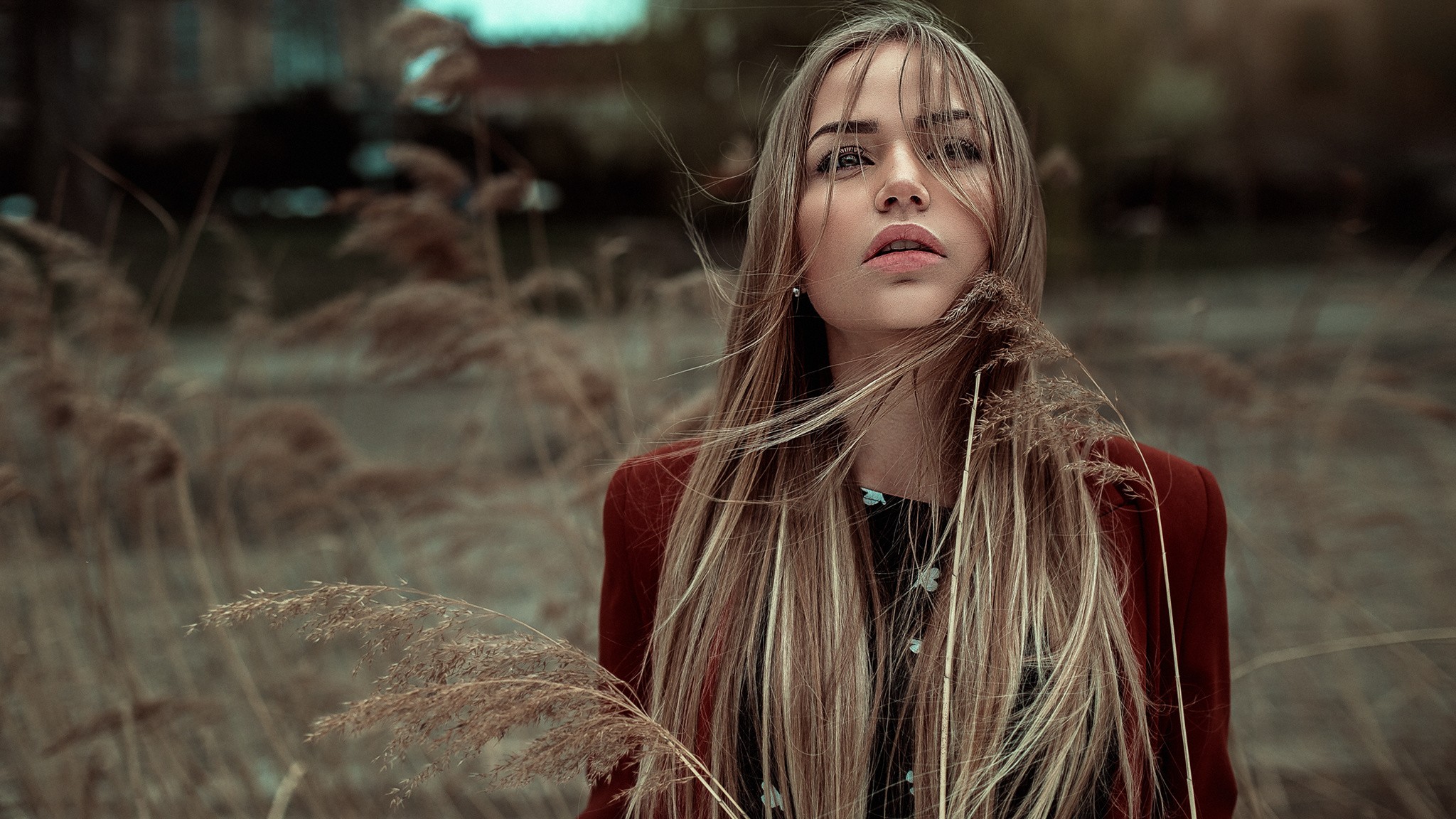 Woman with long blonde hair in a field HD Wallpaper