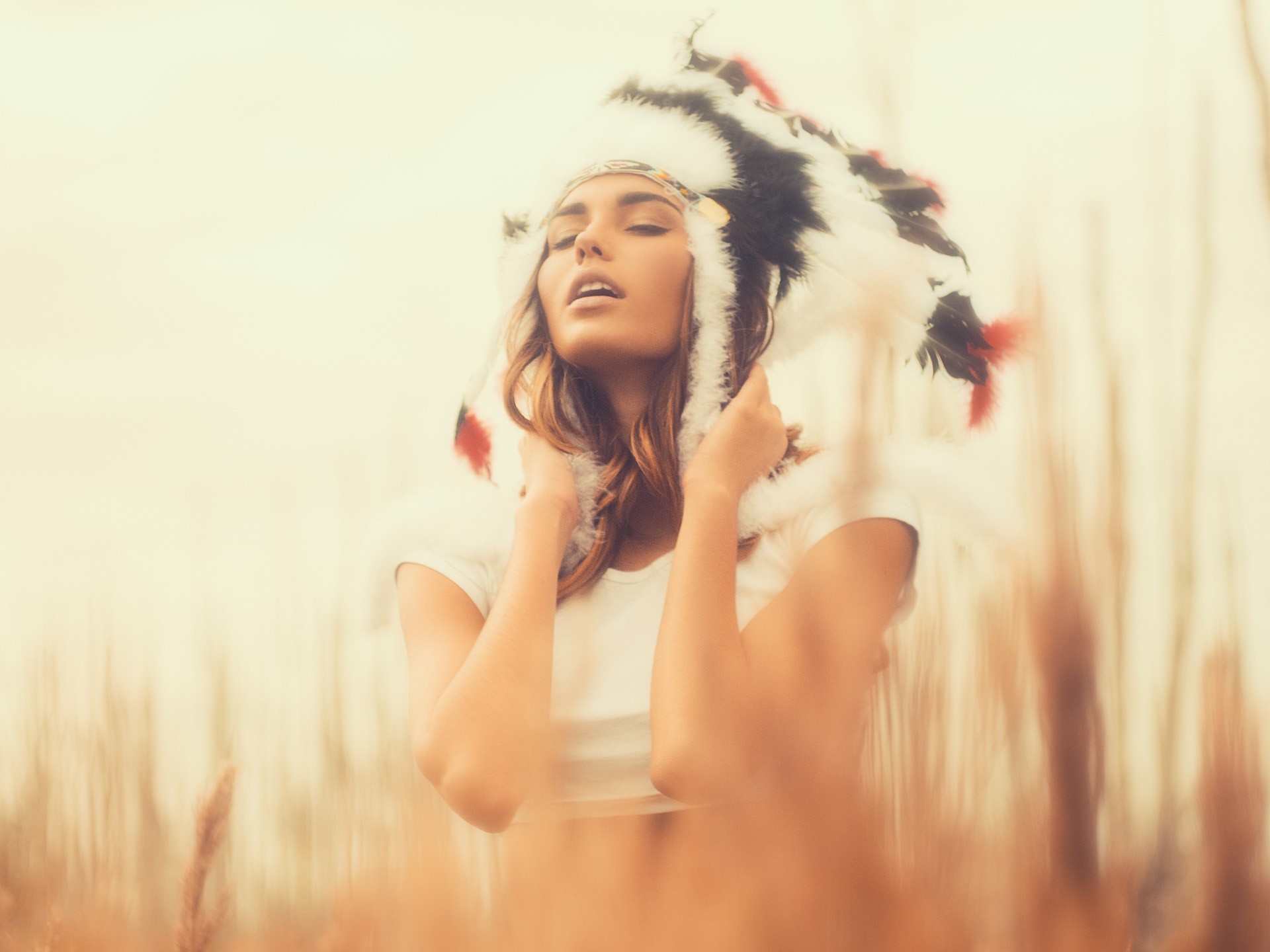 Woman in Native American Headdress in Field HD Wallpaper