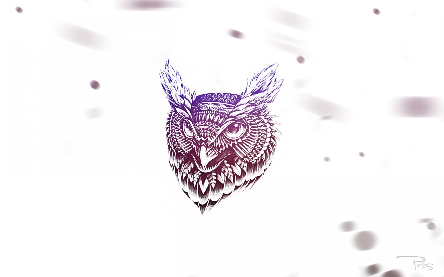 Minimalist owl illustration with purple and black ink HD Wallpaper