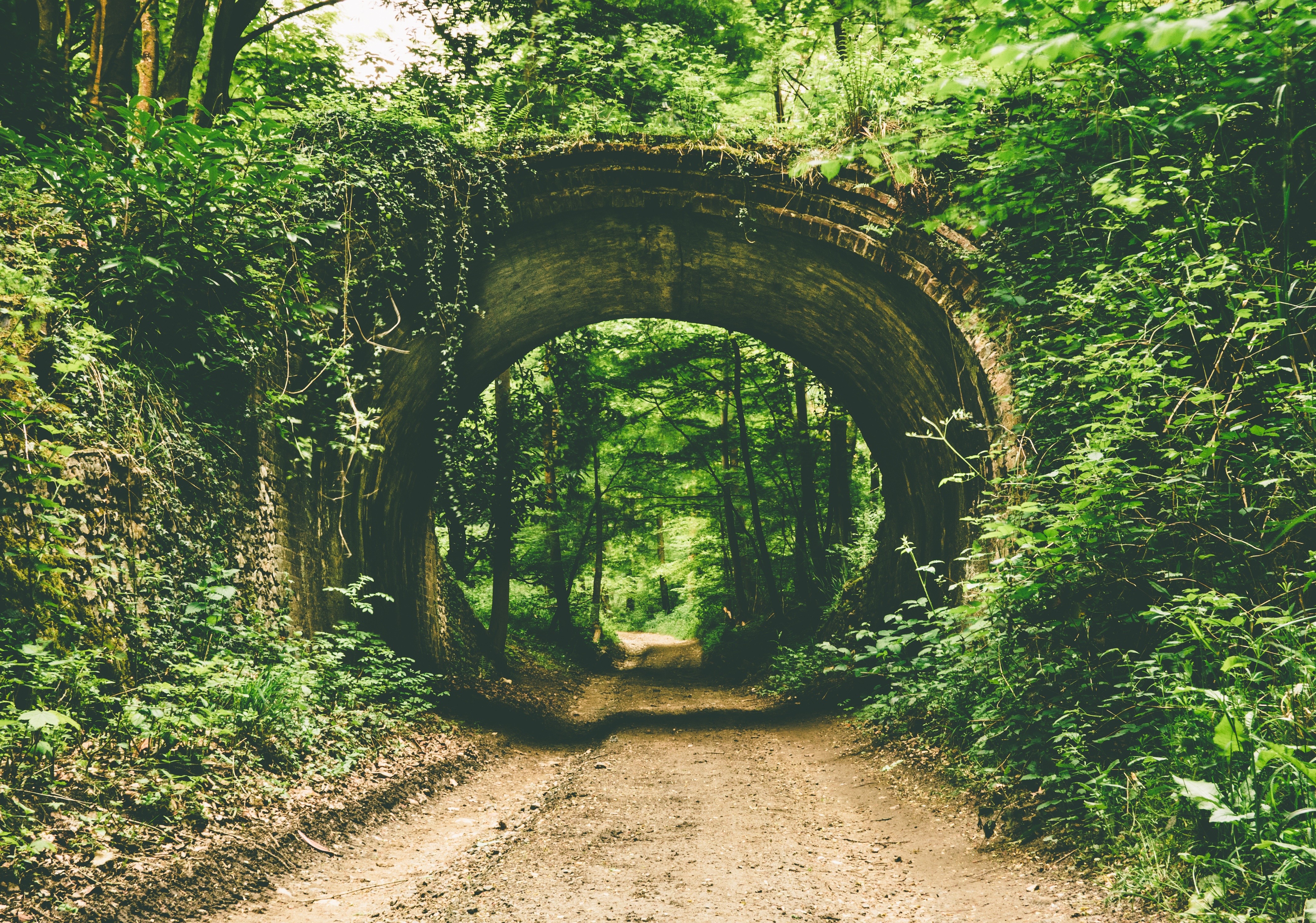 Overgrown brick tunnel on a forest path HD Wallpaper