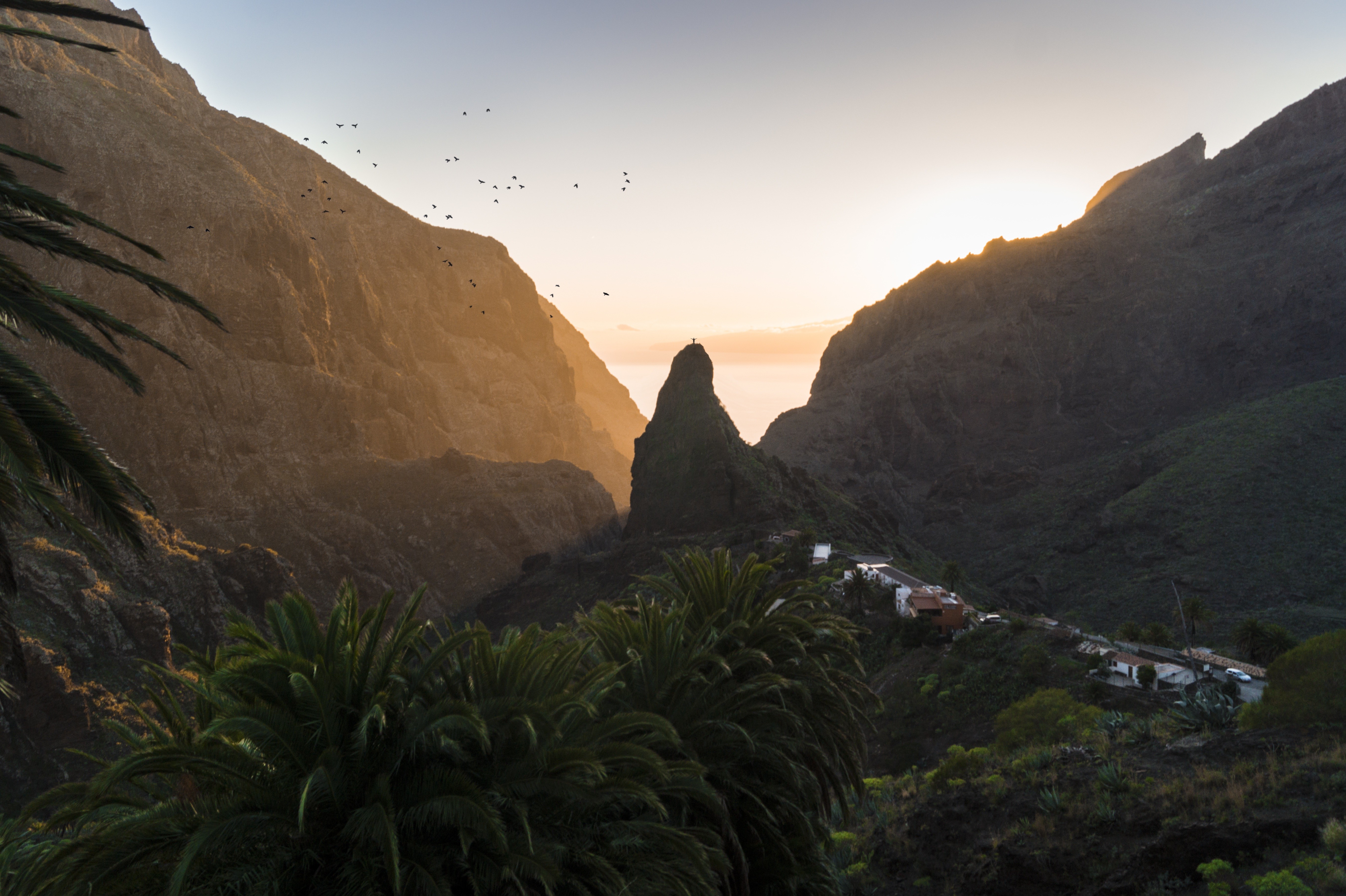 Sunset over Masca village with mountains and palm trees HD Wallpaper