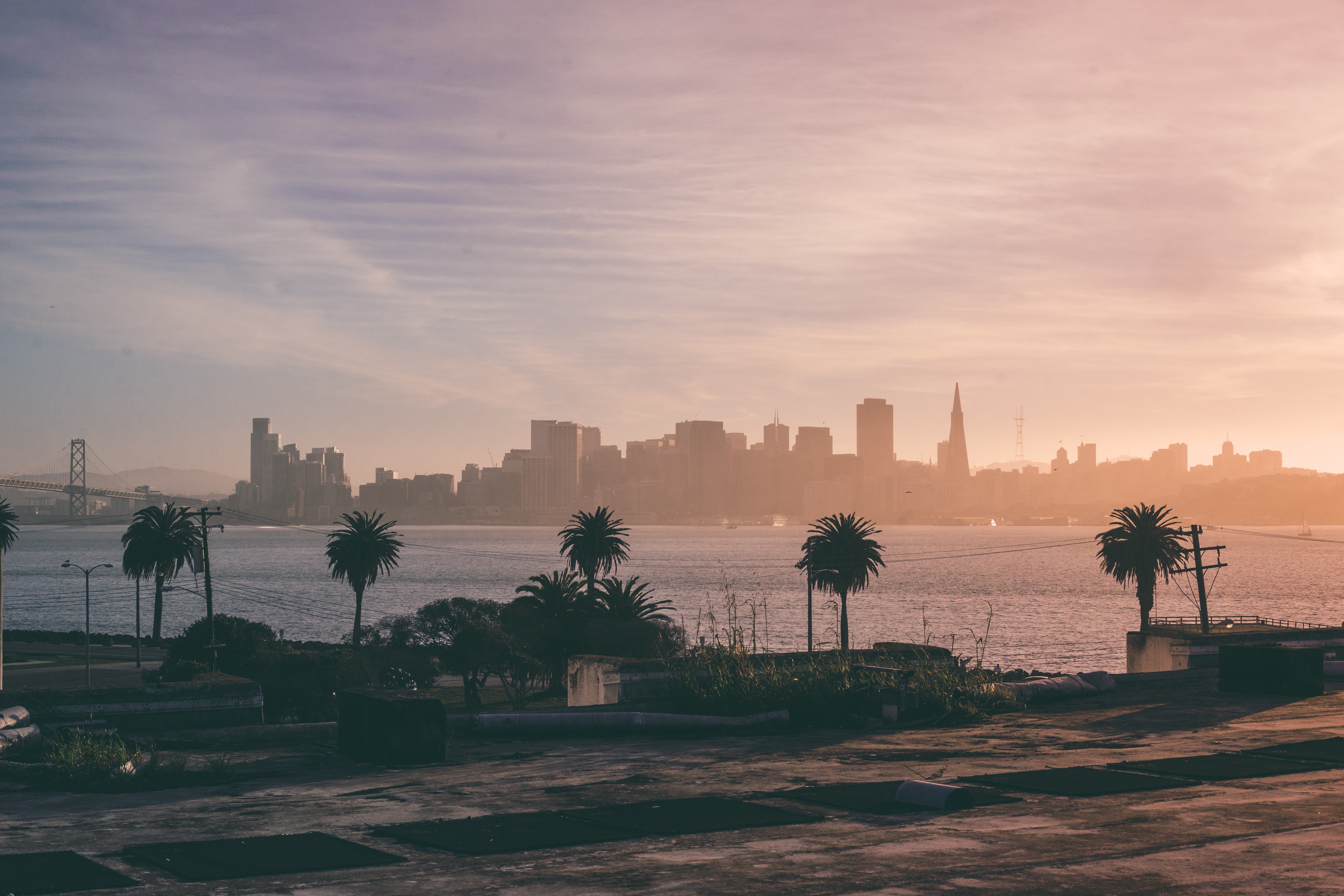 San Francisco skyline with palm trees at sunset HD Wallpaper