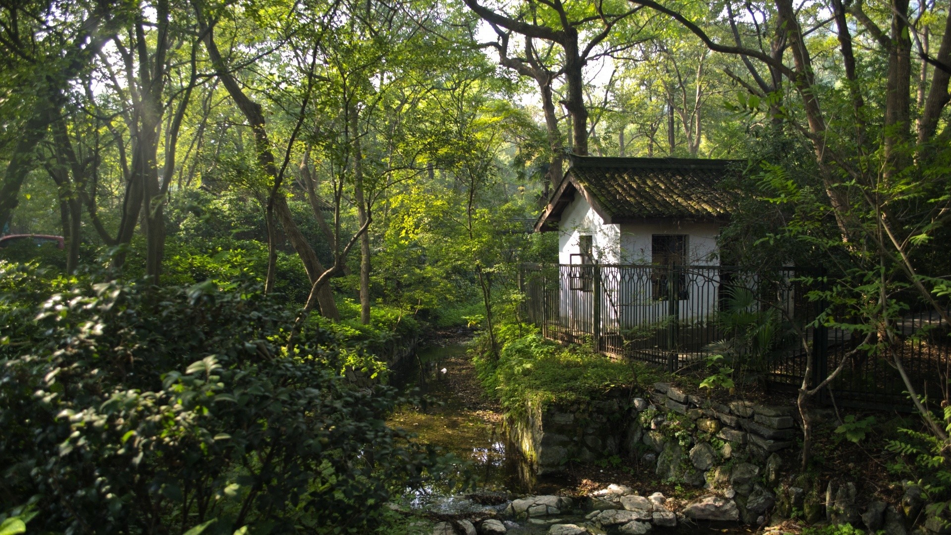 A small house in a dense forest with a stream HD Wallpaper