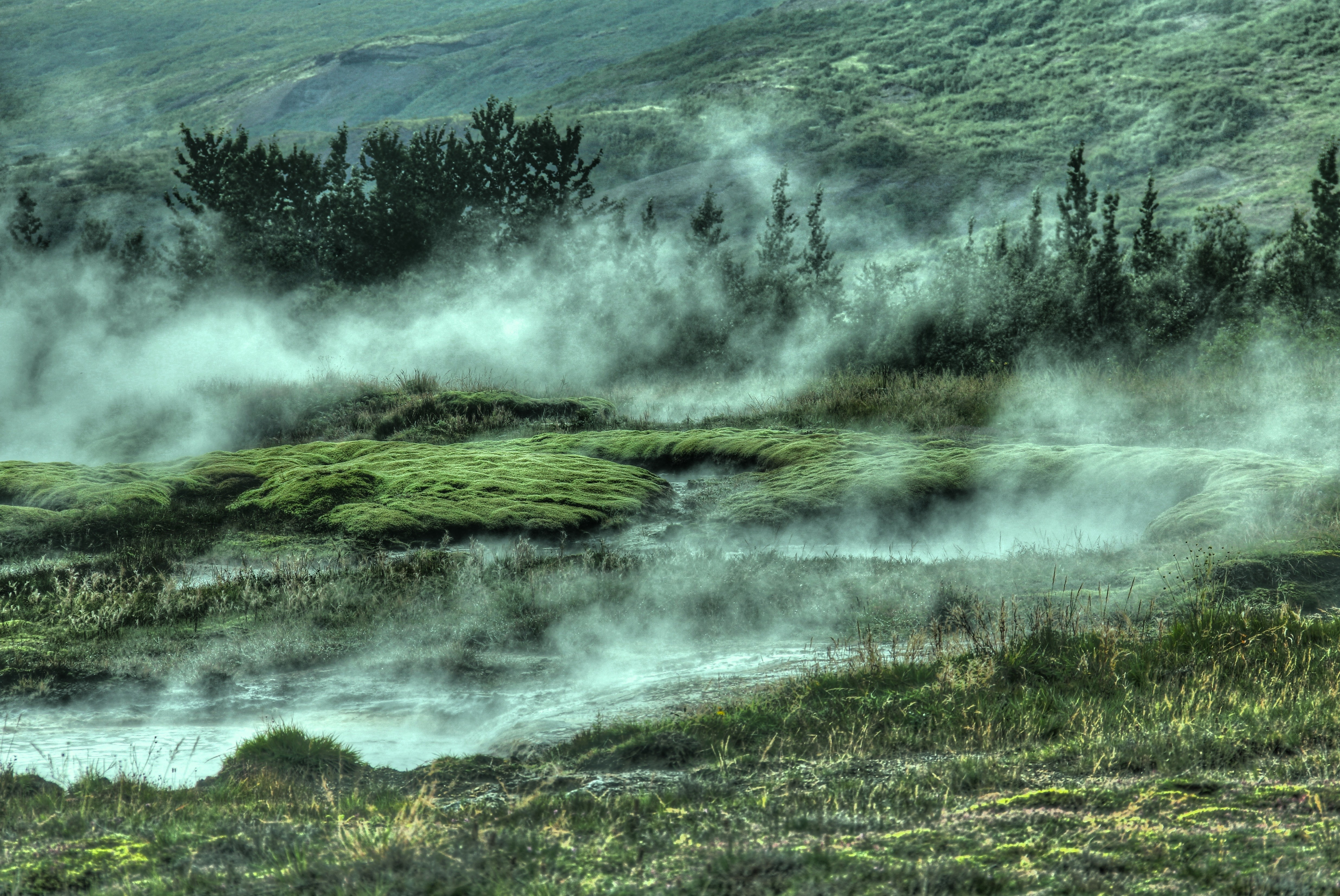Steaming geothermal landscape with moss and trees HD Wallpaper
