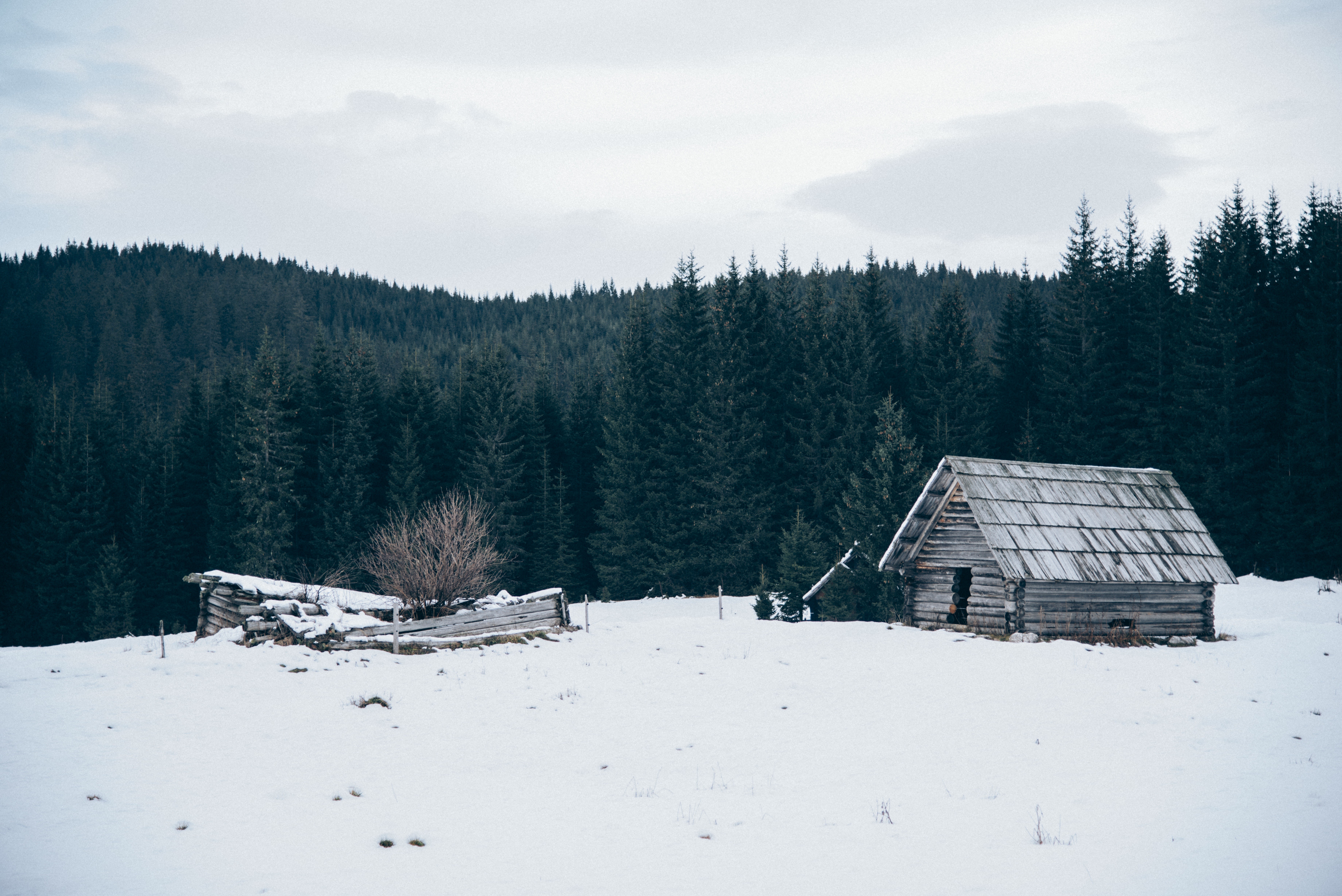 Abandoned wooden houses in a snowy forest HD Wallpaper