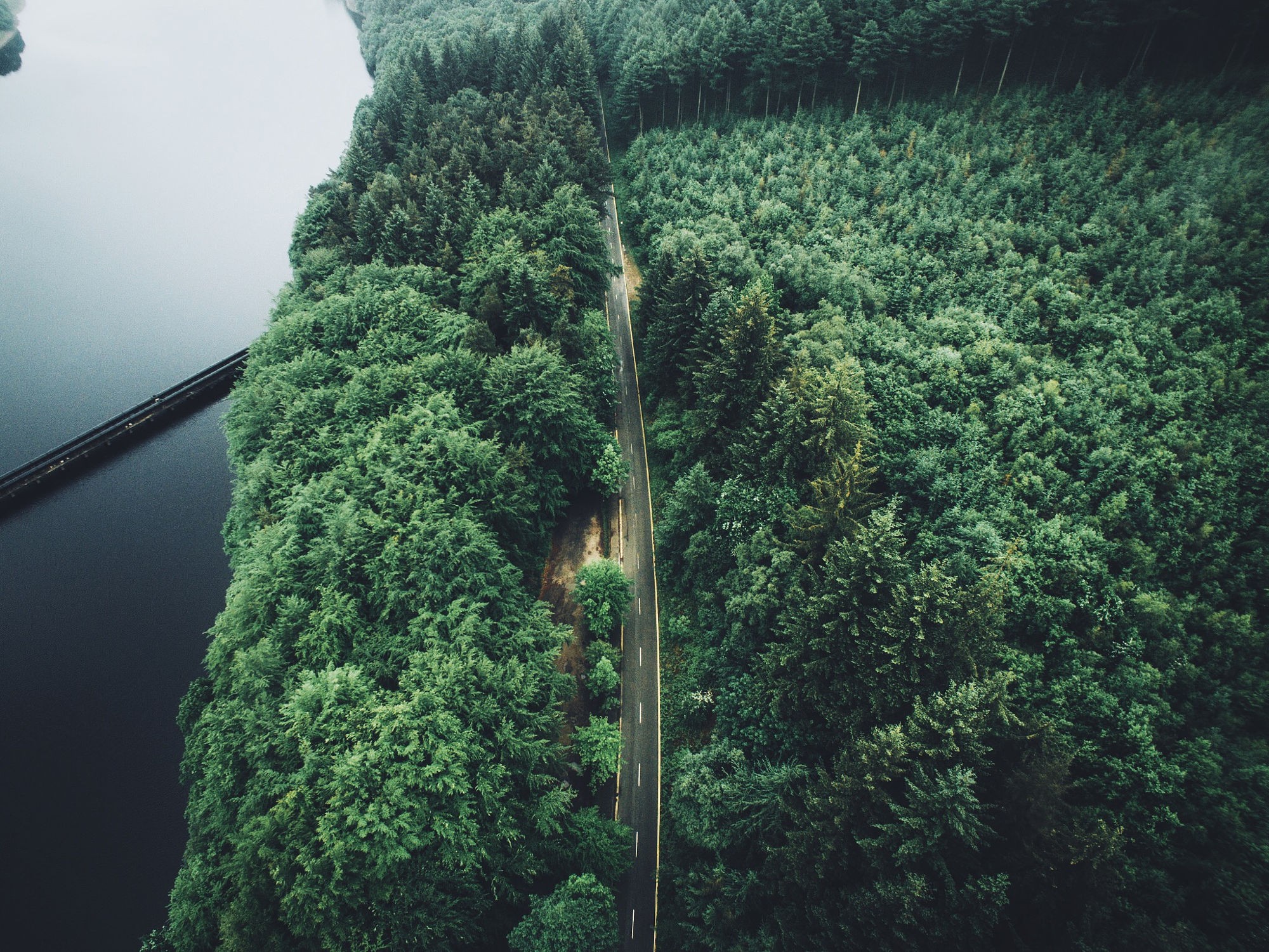 Aerial view of a road through a dense forest next to a body of water HD Wallpaper