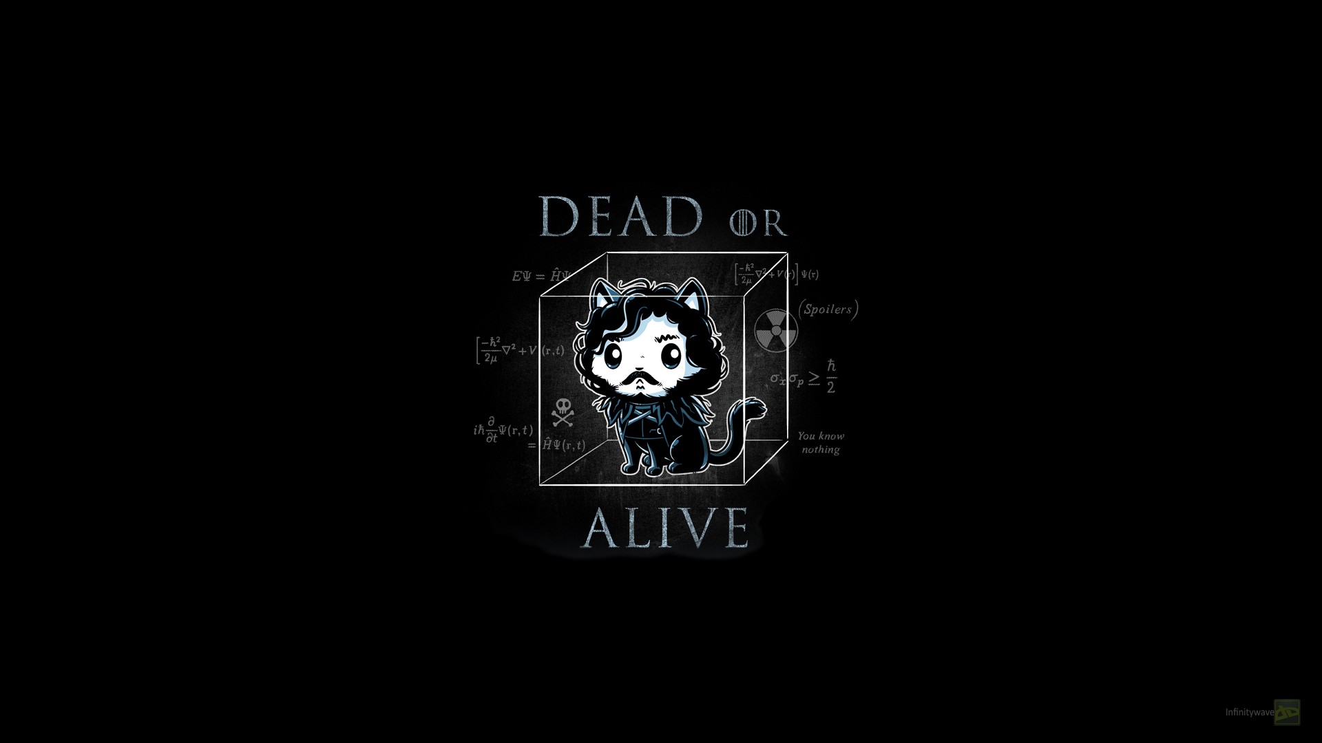 Jon Snow Cat in a Box - Game of Thrones Humor HD Wallpaper