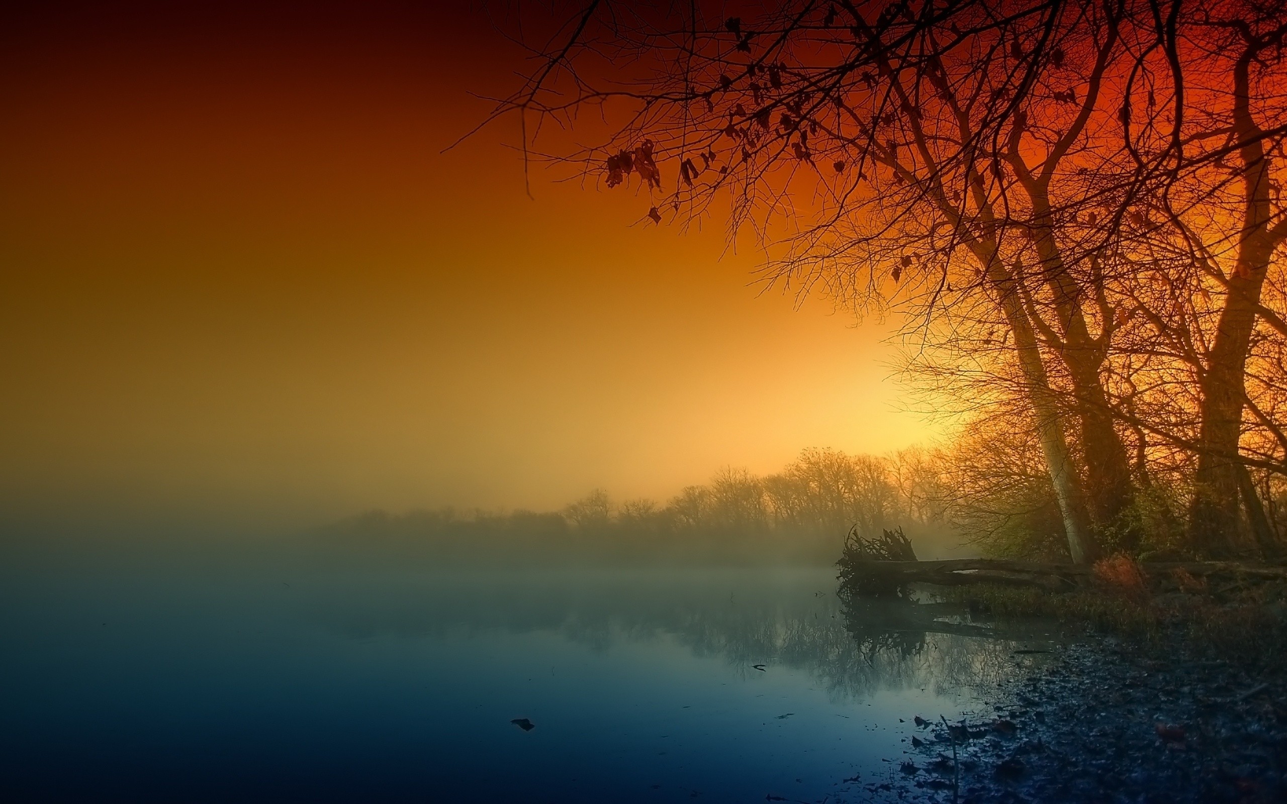 Misty lake at sunset with silhouetted trees HD Wallpaper