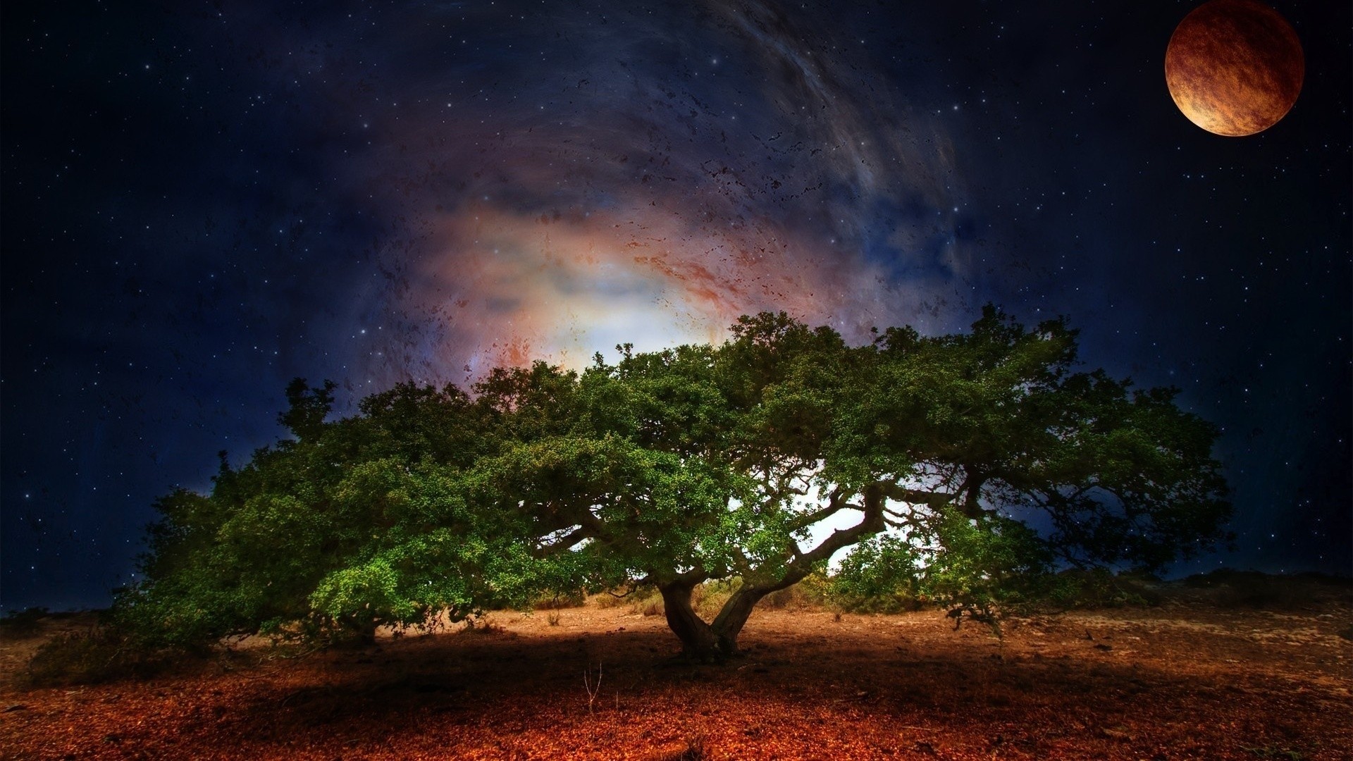 A lone tree under a galaxy and a planet HD Wallpaper
