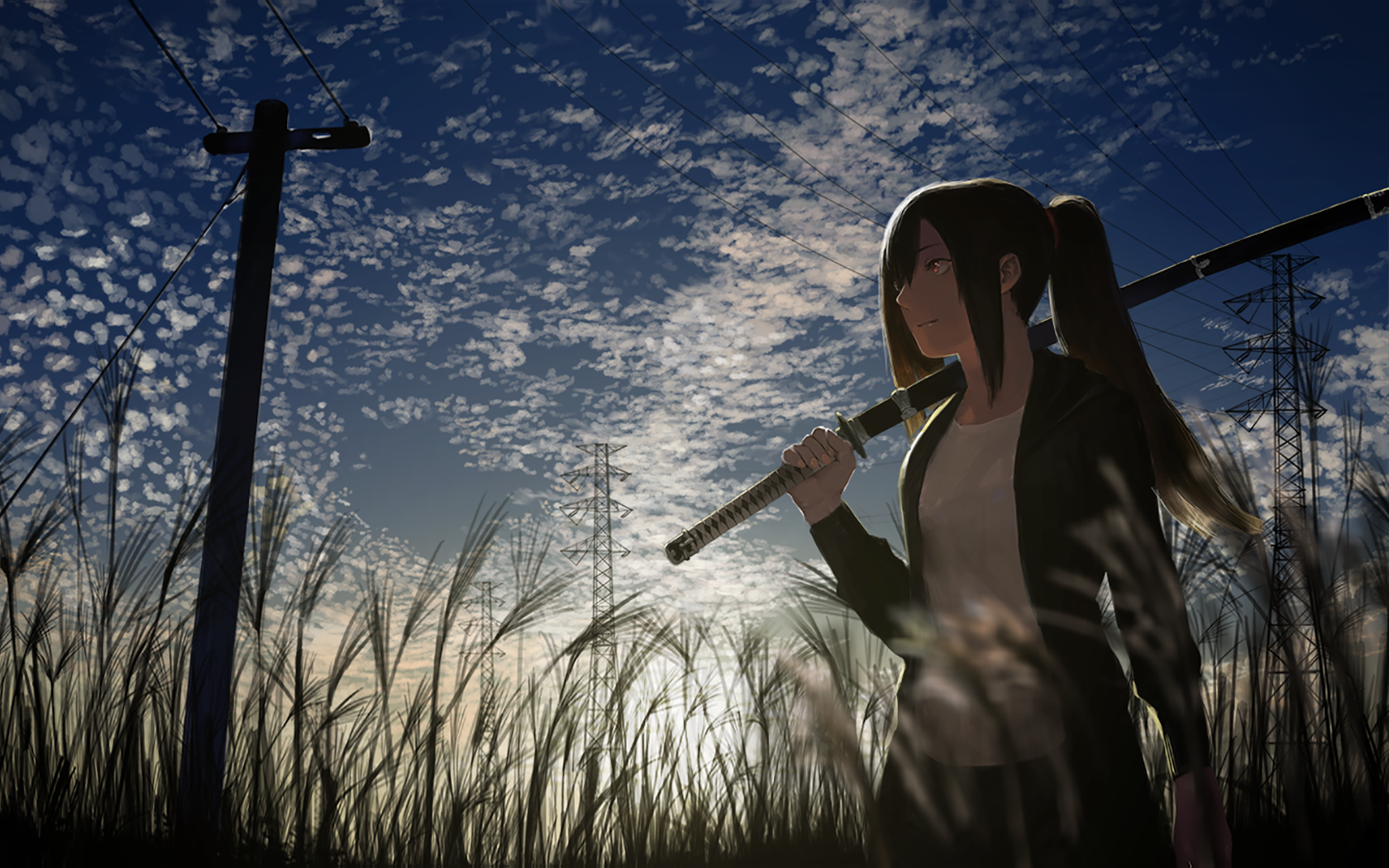 Anime girl with katana in a field under cloudy sky HD Wallpaper