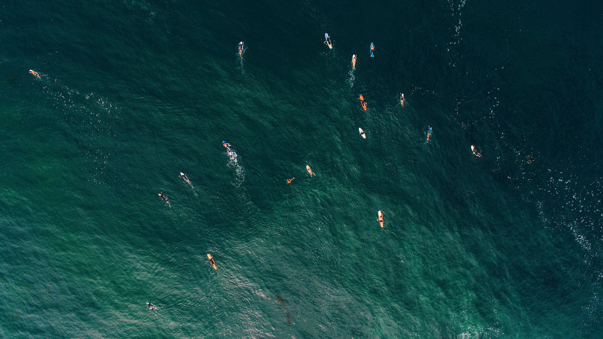 Surfers paddling in the ocean HD Wallpaper
