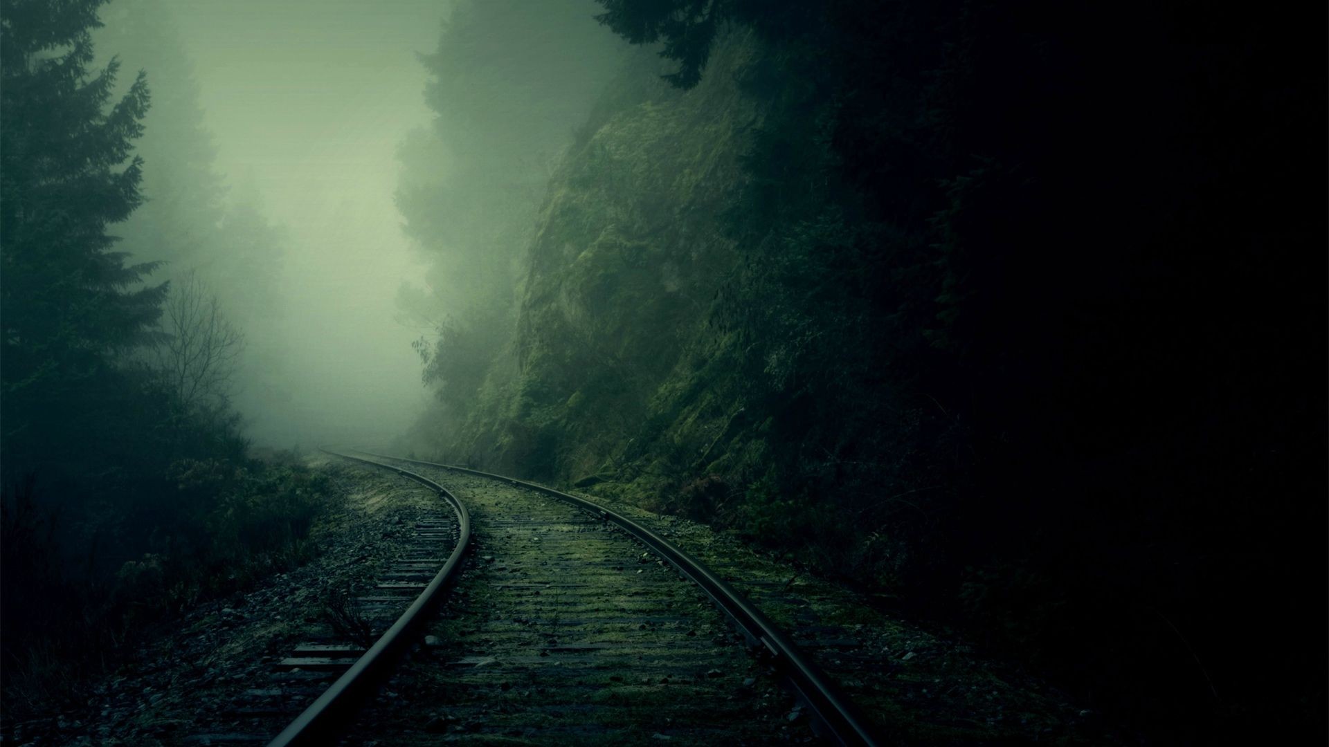Railway tracks winding through a misty forest HD Wallpaper