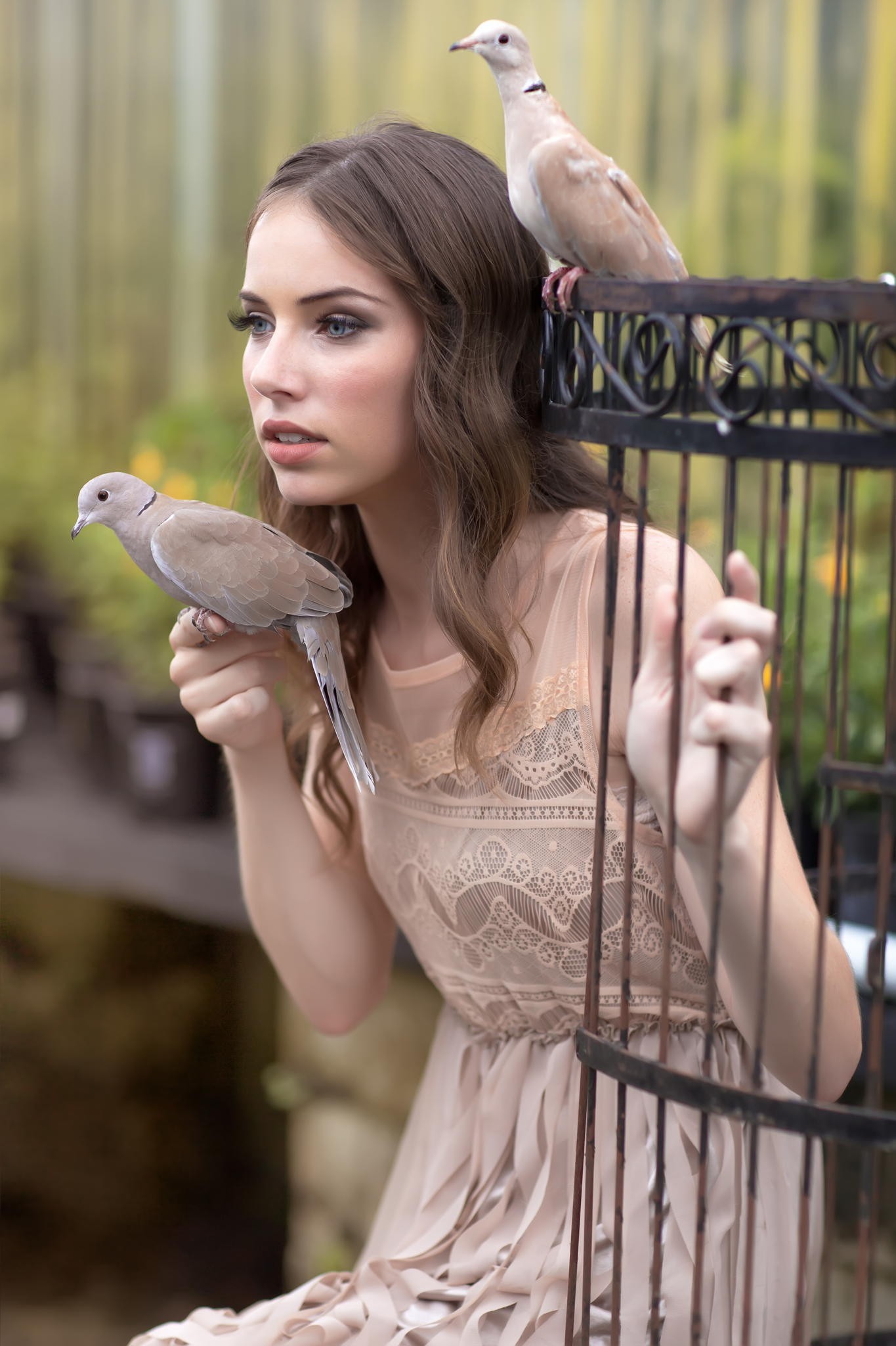 Megan Coffey with two doves and a birdcage HD Wallpaper