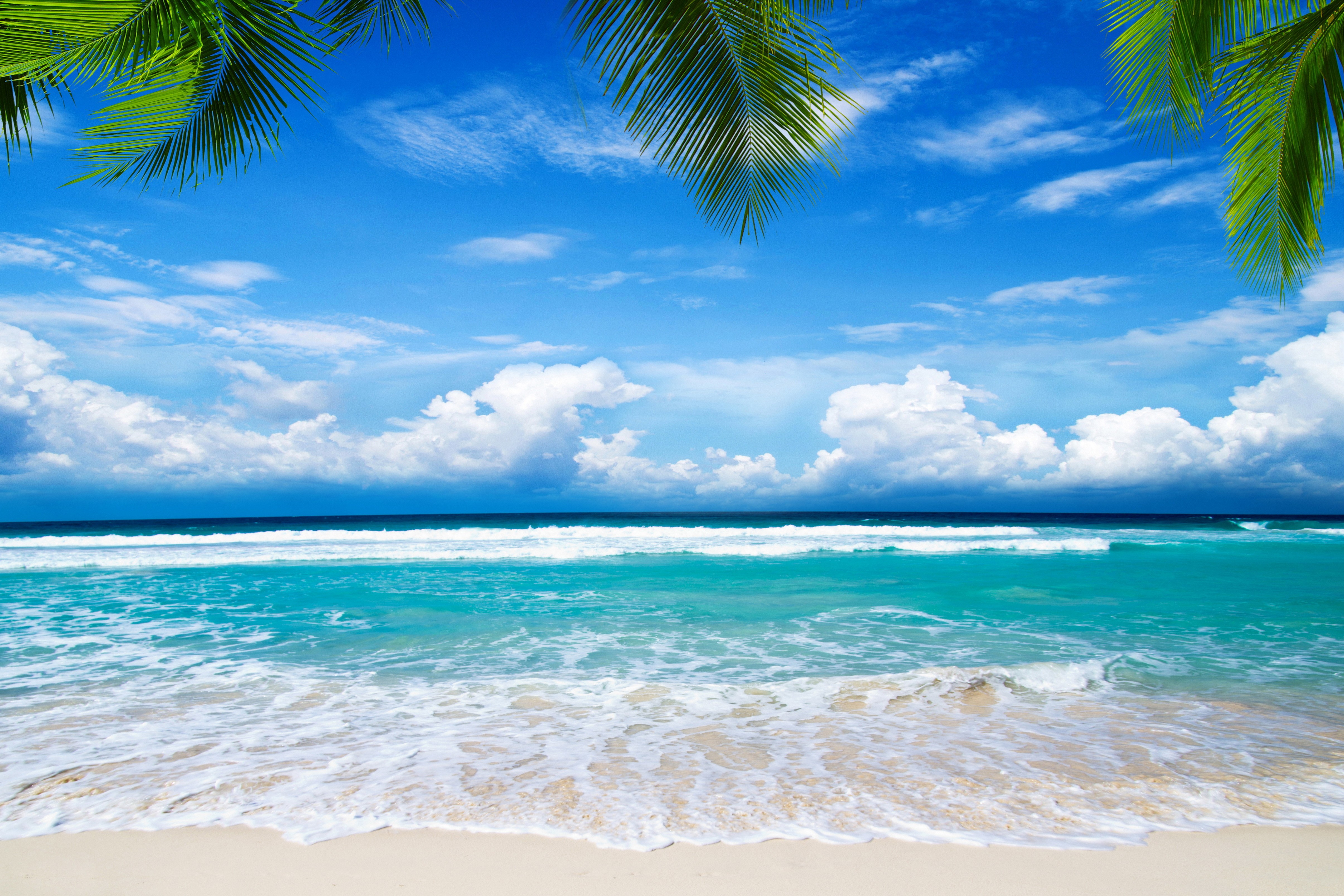 Tropical beach with palm trees and ocean waves HD Wallpaper