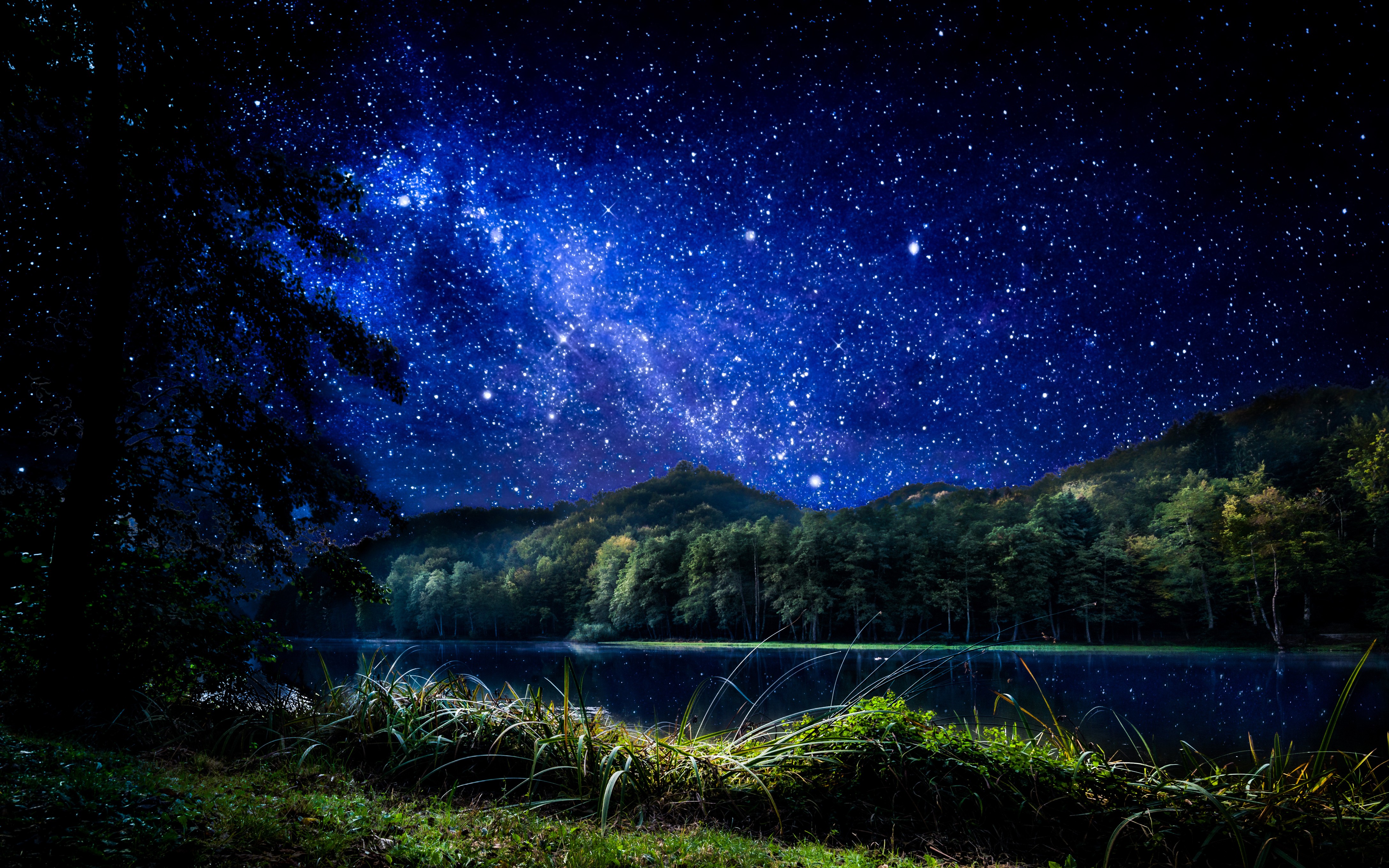 Night landscape with stars over a forest and lake HD Wallpaper