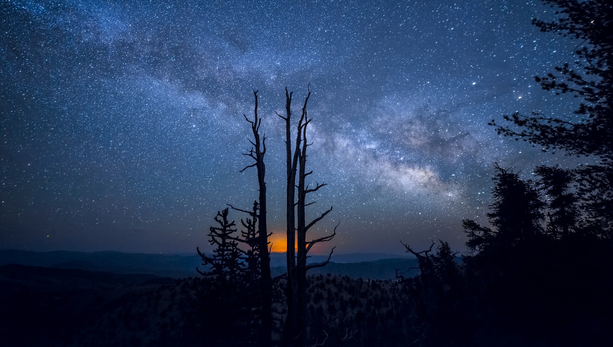 Milky Way over silhouetted trees and mountains HD Wallpaper