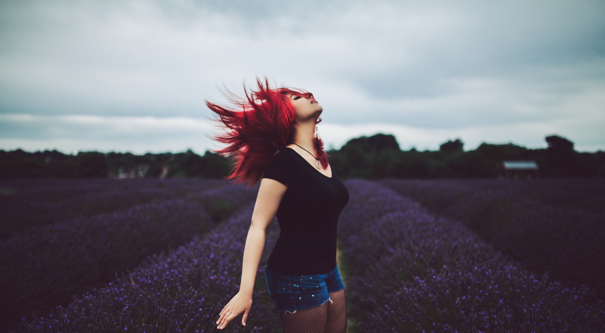 Woman with red hair in a lavender field HD Wallpaper