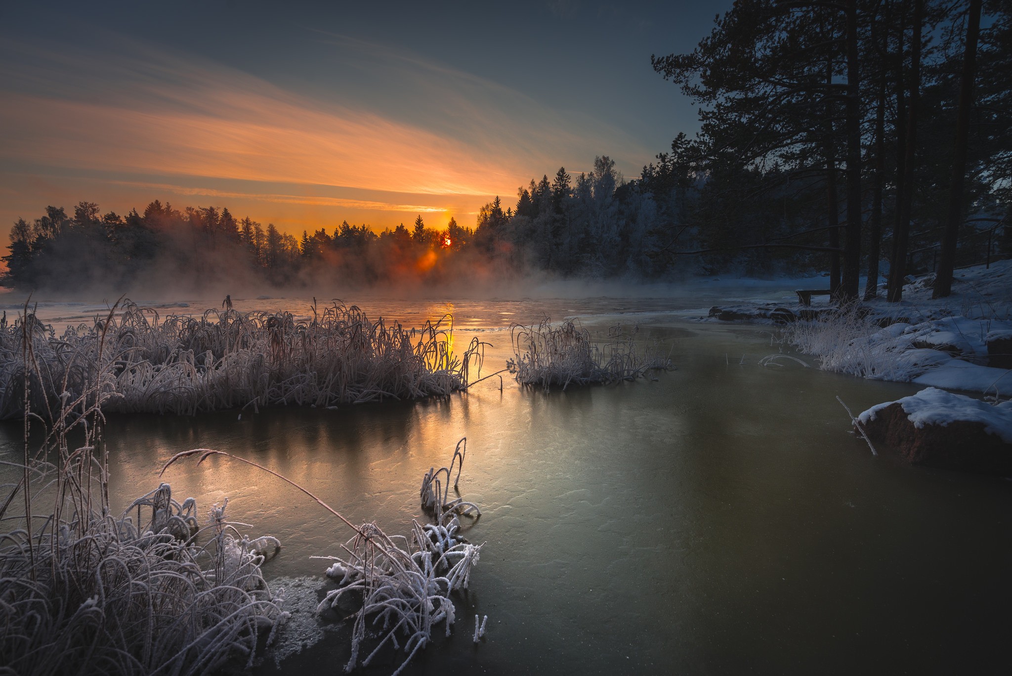 Winter sunrise over a frozen lake with frosted reeds HD Wallpaper