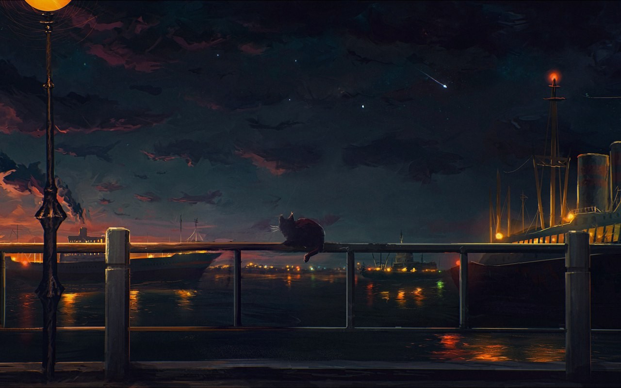 Cat on a railing overlooking a harbor at night HD Wallpaper