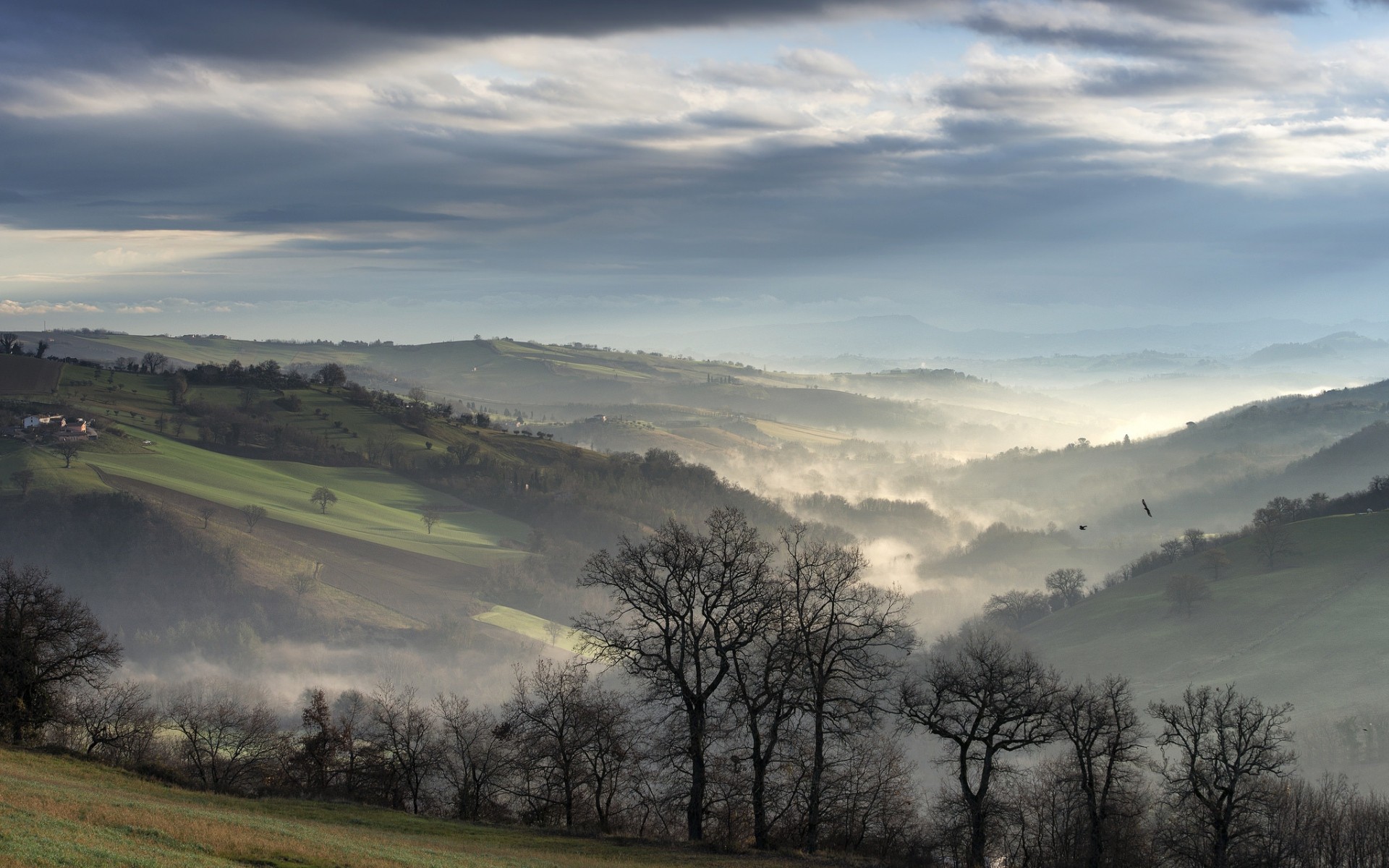 Misty valley with rolling hills and bare trees HD Wallpaper