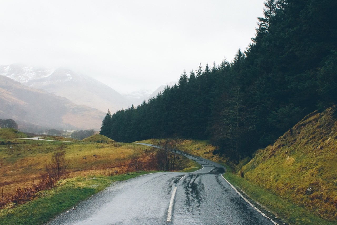 Winding road through a forest landscape HD Wallpaper