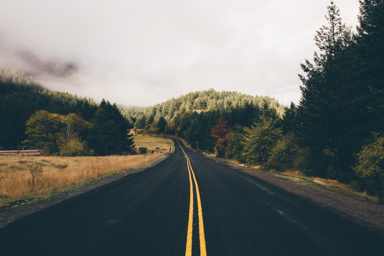 A winding road through a foggy forest landscape HD Wallpaper
