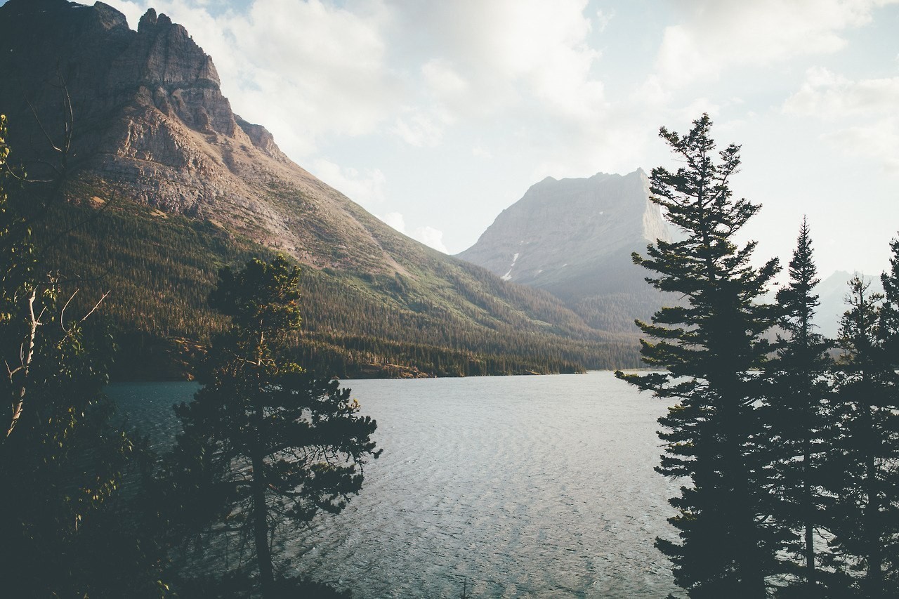 Lake and mountains with pine trees HD Wallpaper