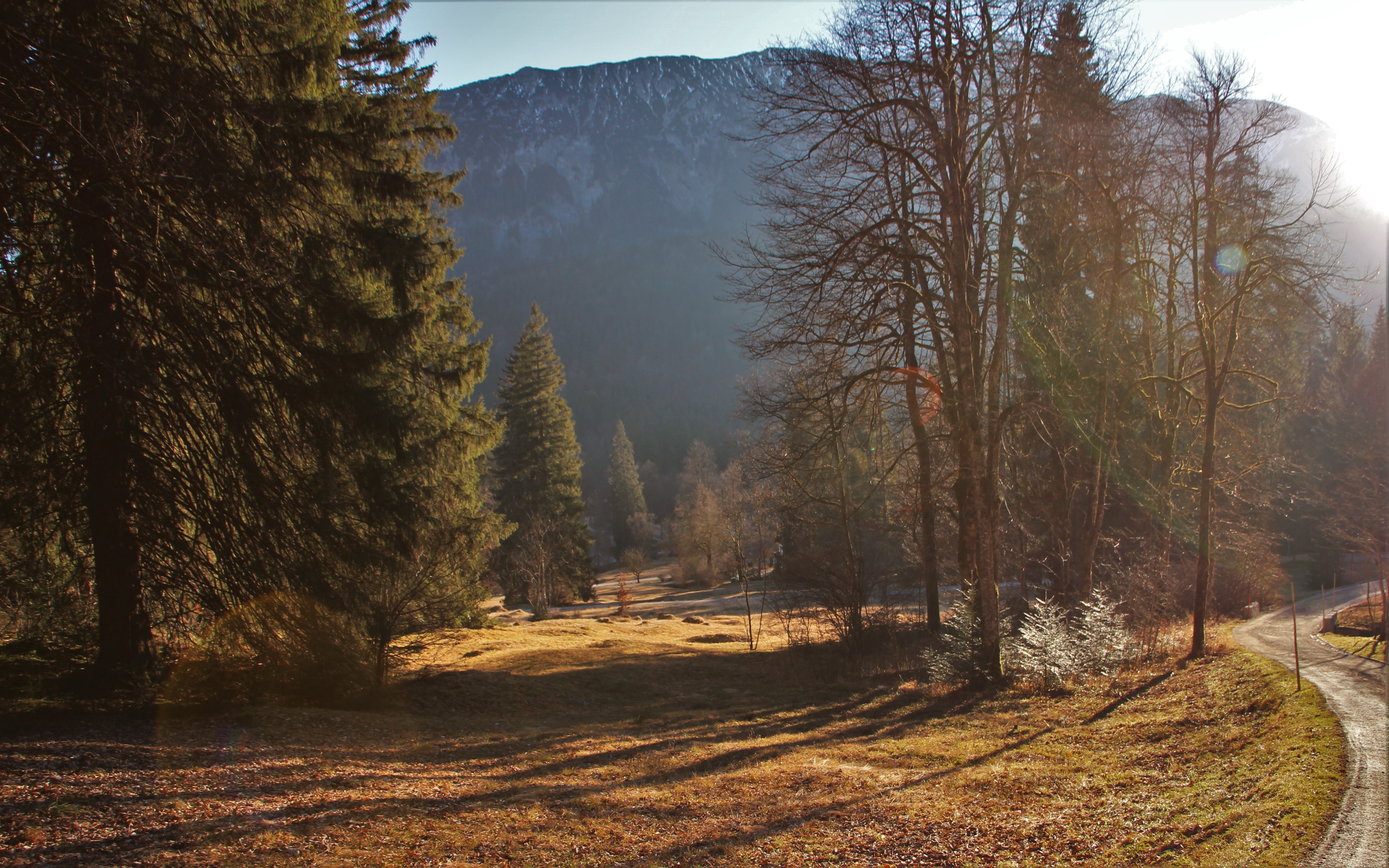 Mountain landscape with trees and a dirt road HD Wallpaper