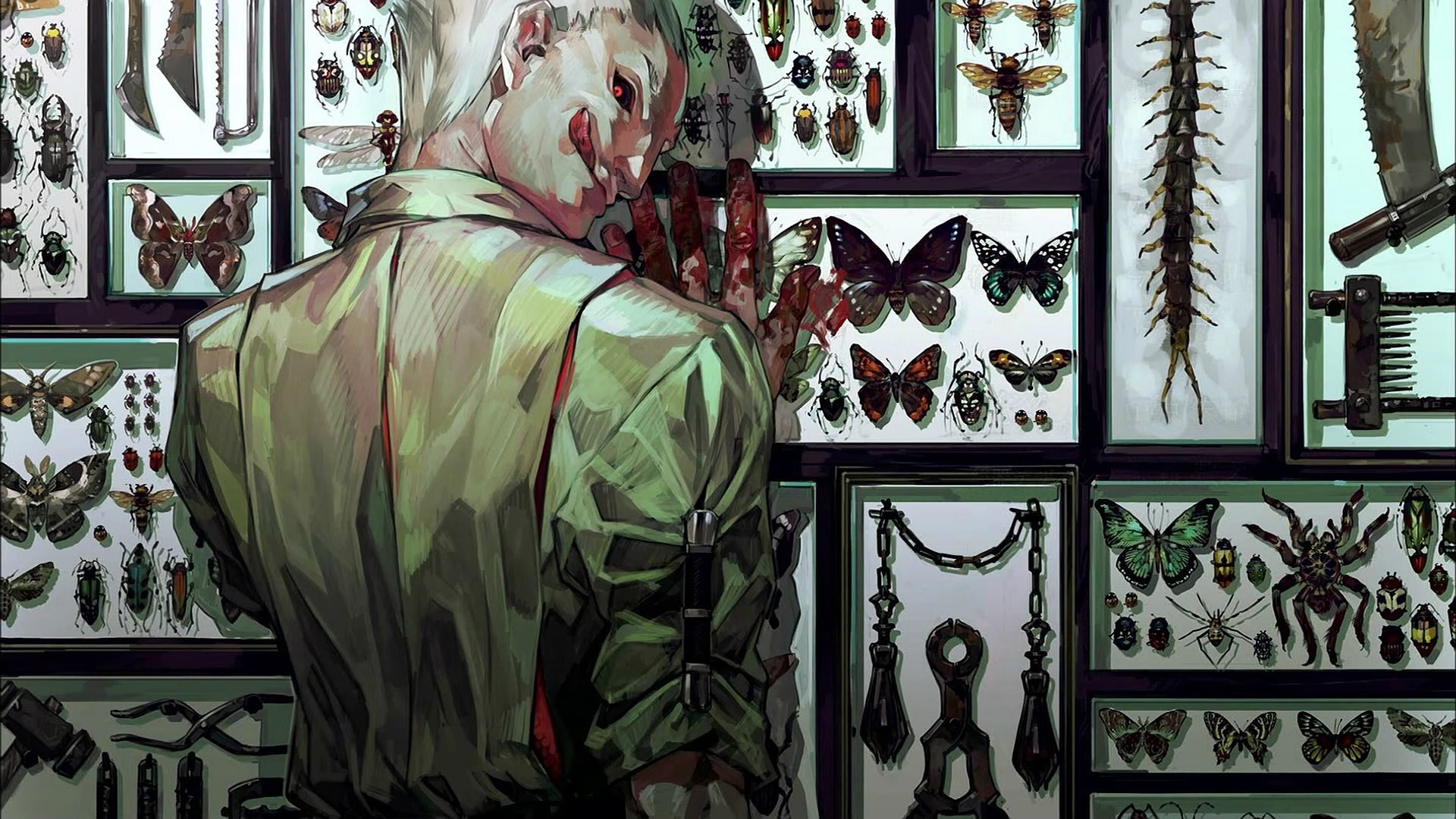 Ken Kaneki in front of insect collection HD Wallpaper
