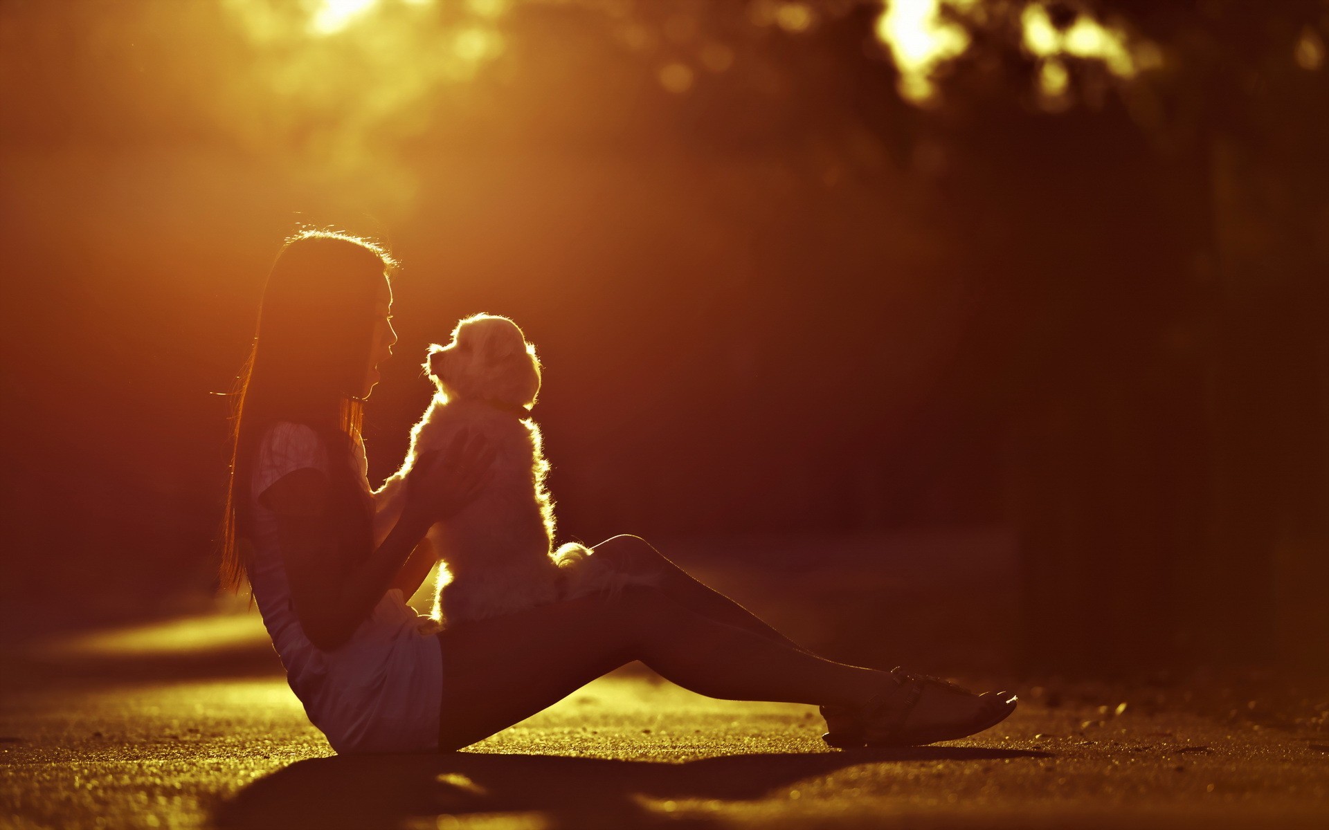 Girl and dog silhouetted against sunset HD Wallpaper