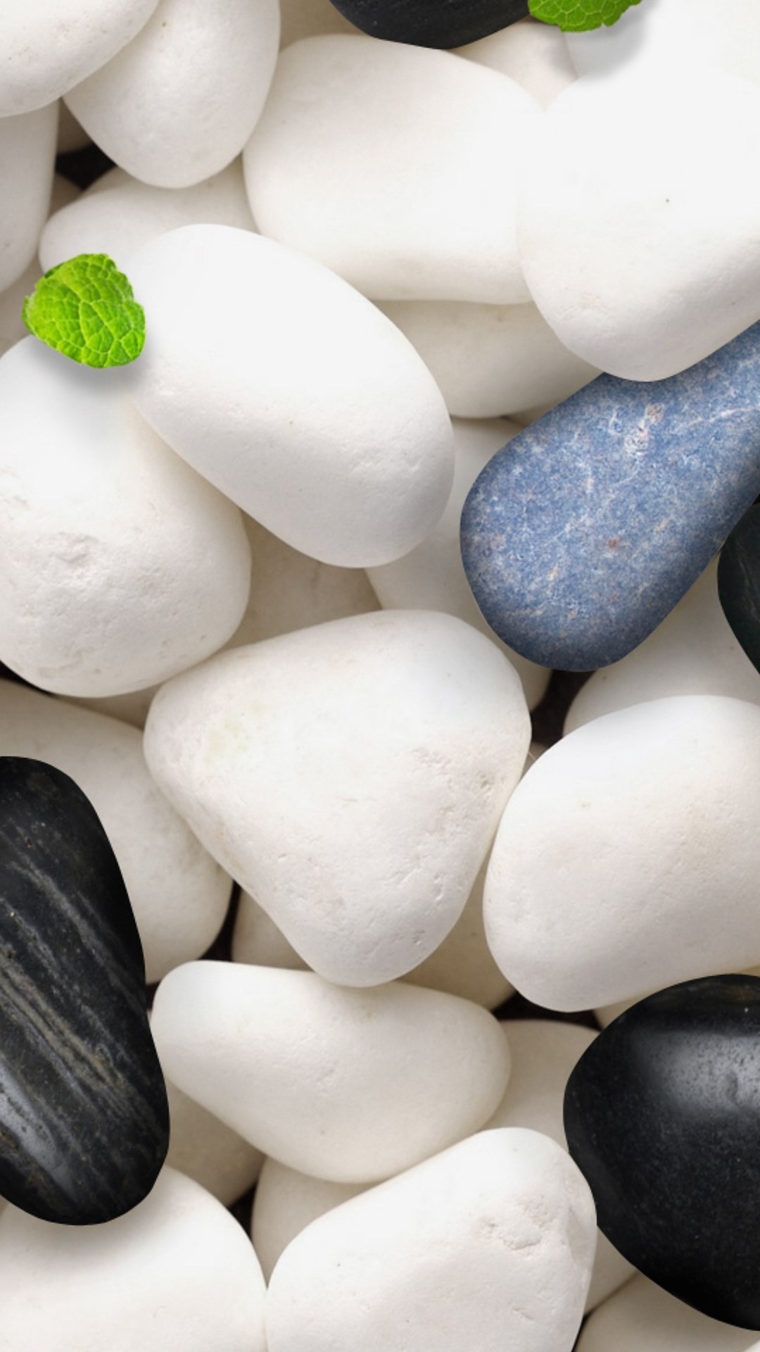 Minimalist composition of white, black, and blue stones with mint leaves HD Wallpaper