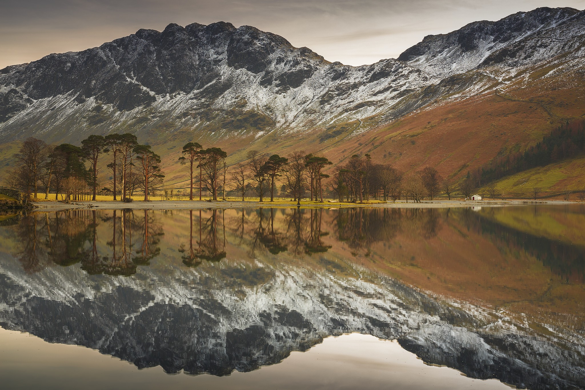 Snow-capped mountains reflected in a lake with trees HD Wallpaper