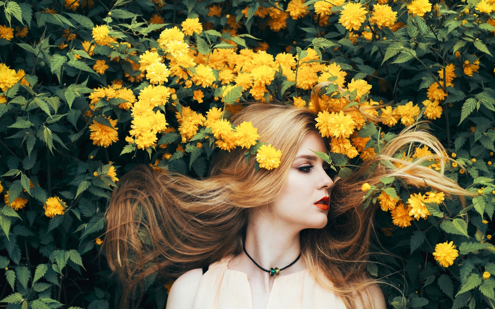 Woman with blonde hair among yellow flowers HD Wallpaper