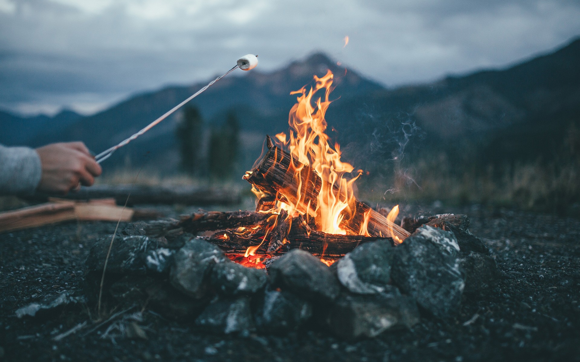Roasting Marshmallow Over a Campfire at Dusk HD Wallpaper
