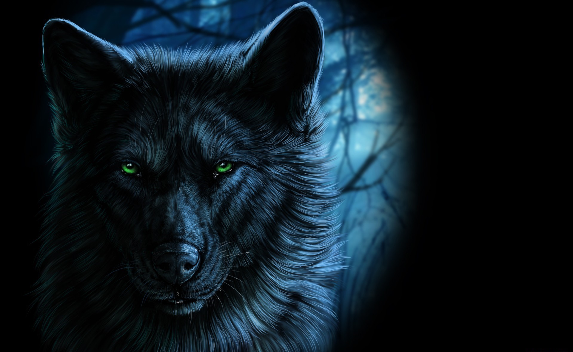 Black wolf with glowing green eyes in a dark forest HD Wallpaper
