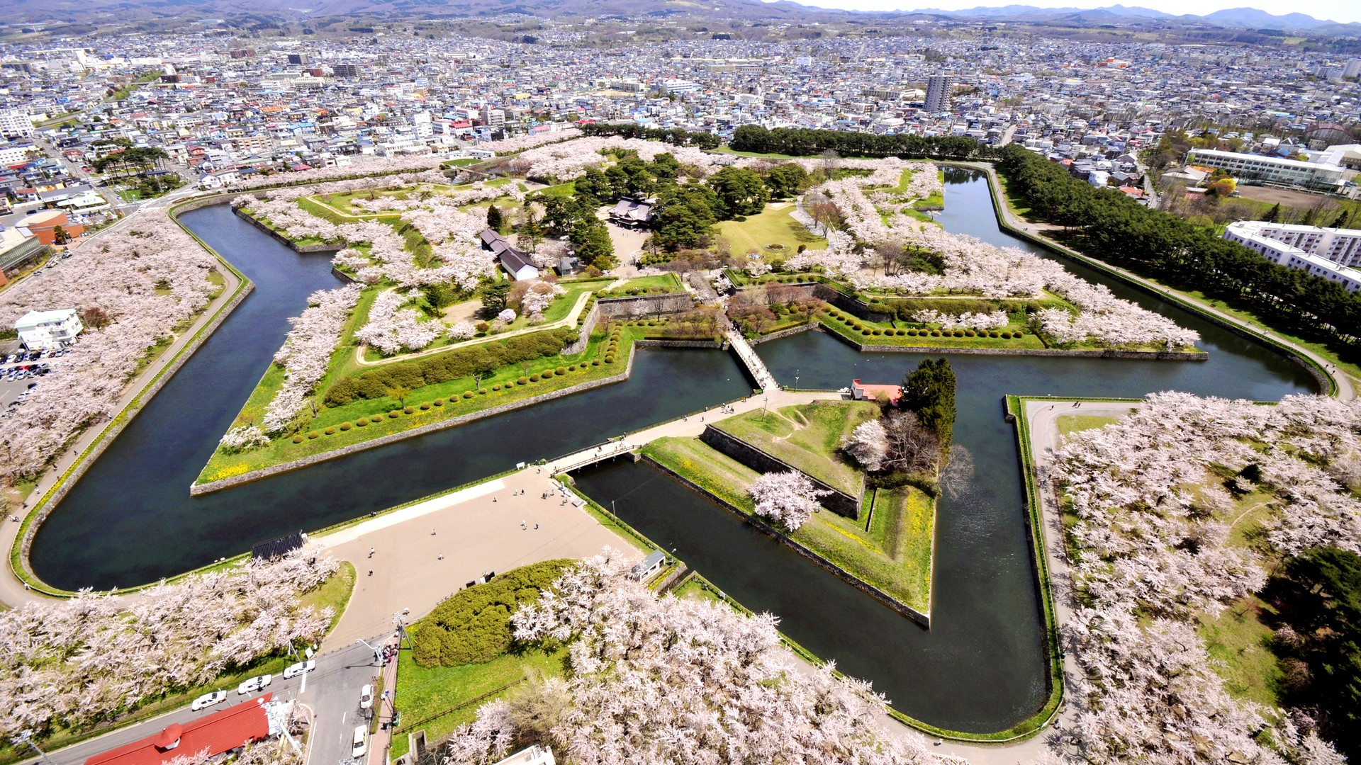 Goryokaku Fort surrounded by cherry blossoms in Japan HD Wallpaper