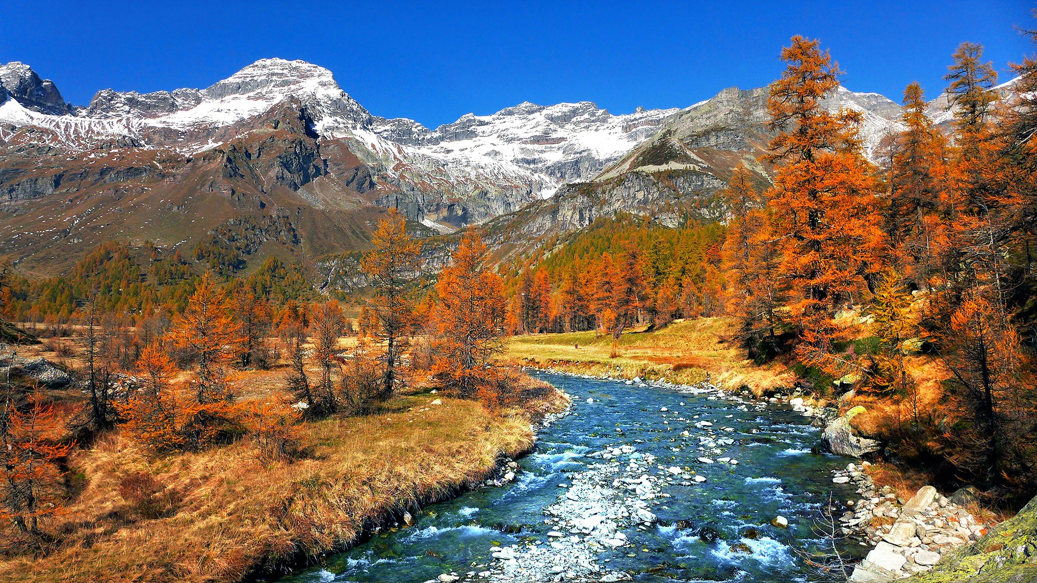 Autumn mountain landscape with a river and trees HD Wallpaper