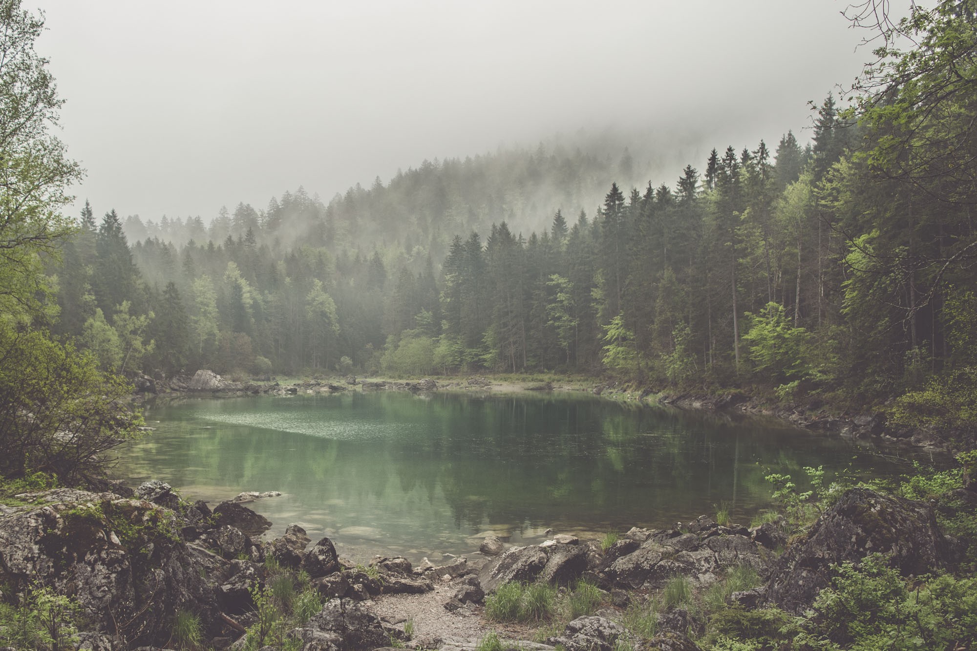 Misty lake surrounded by a dense forest HD Wallpaper