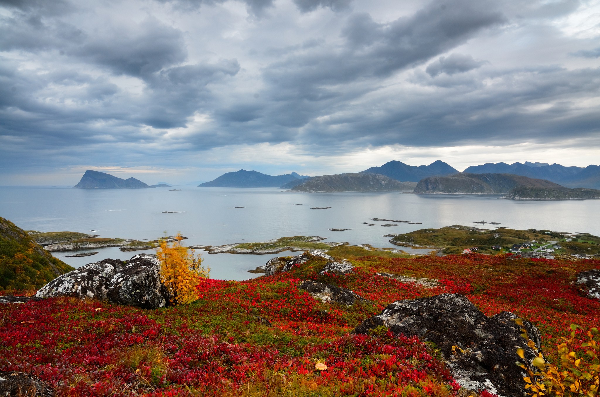Autumn landscape with red plants and rocky coast HD Wallpaper