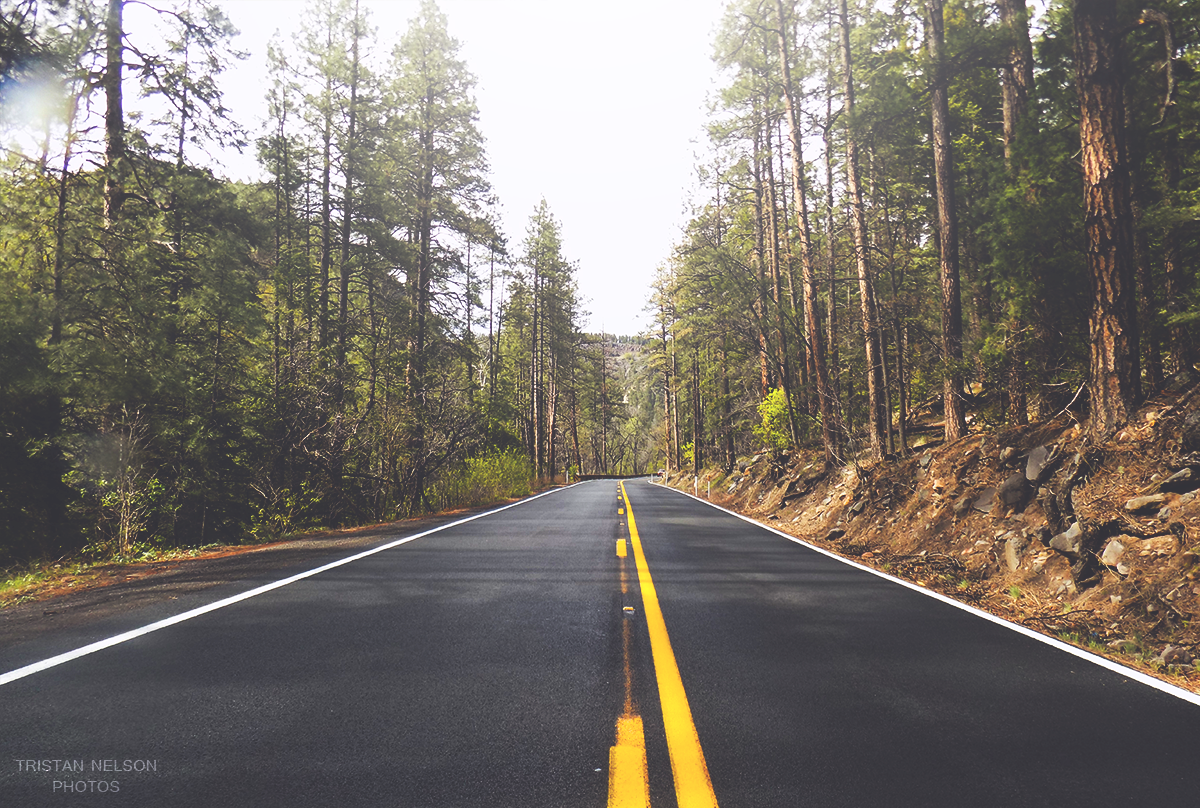 Road through a pine forest in Arizona HD Wallpaper