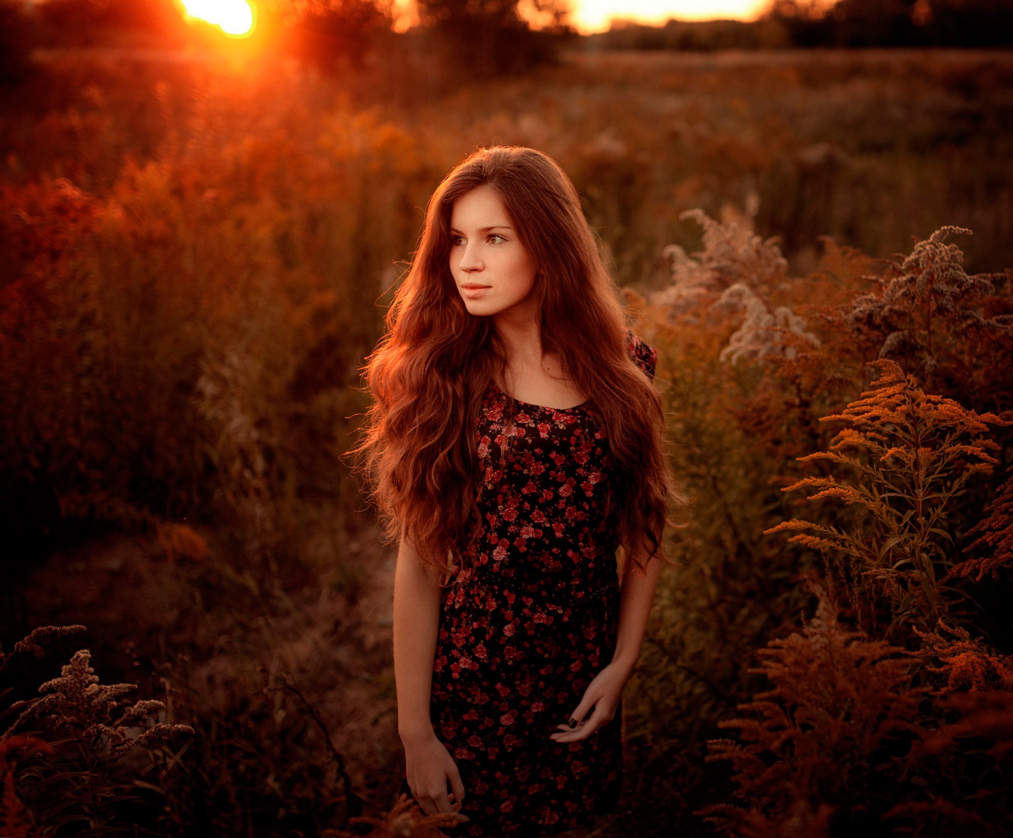Woman with long red hair in a field at sunset HD Wallpaper