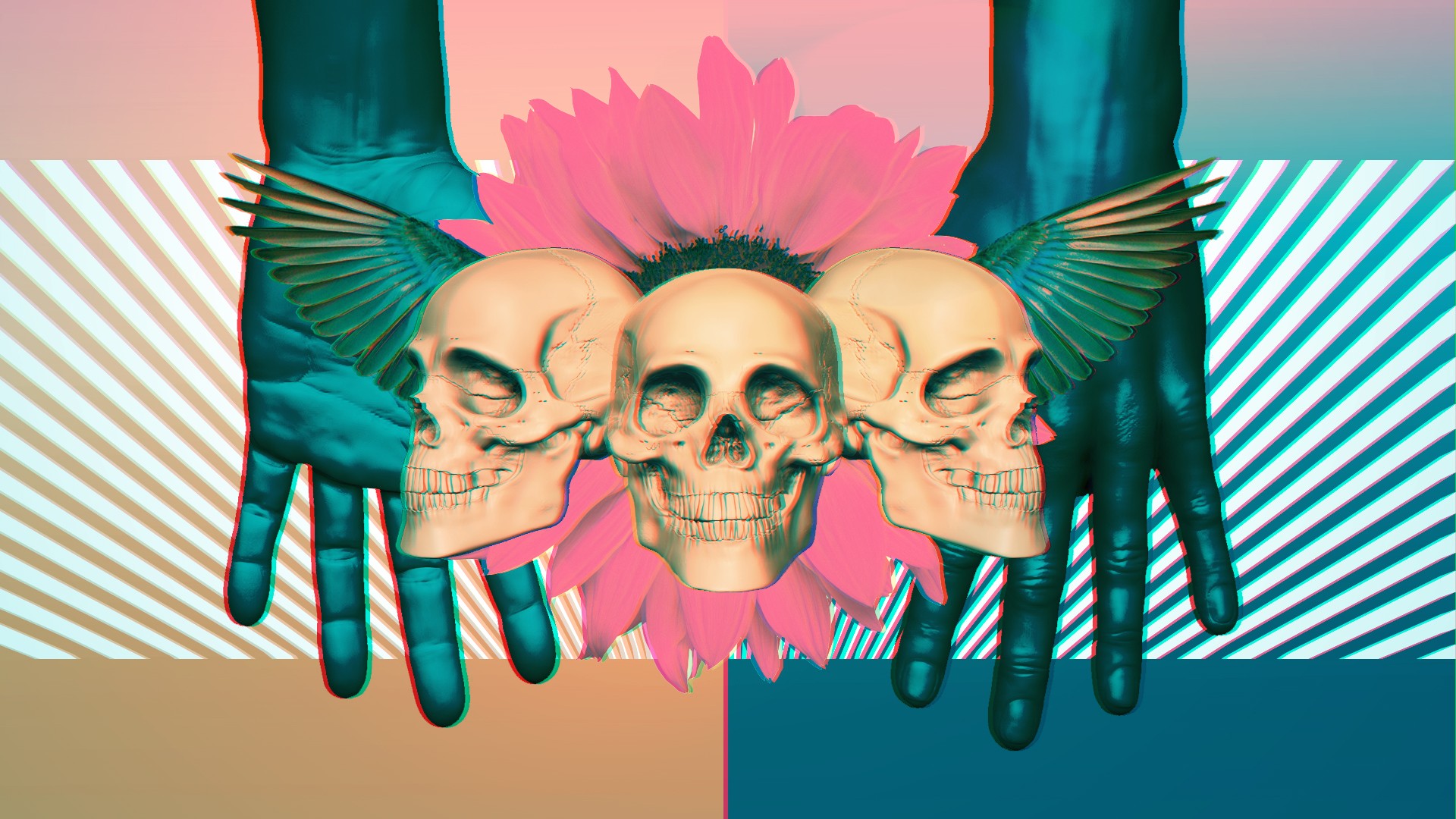 Three winged skulls and a flower HD Wallpaper