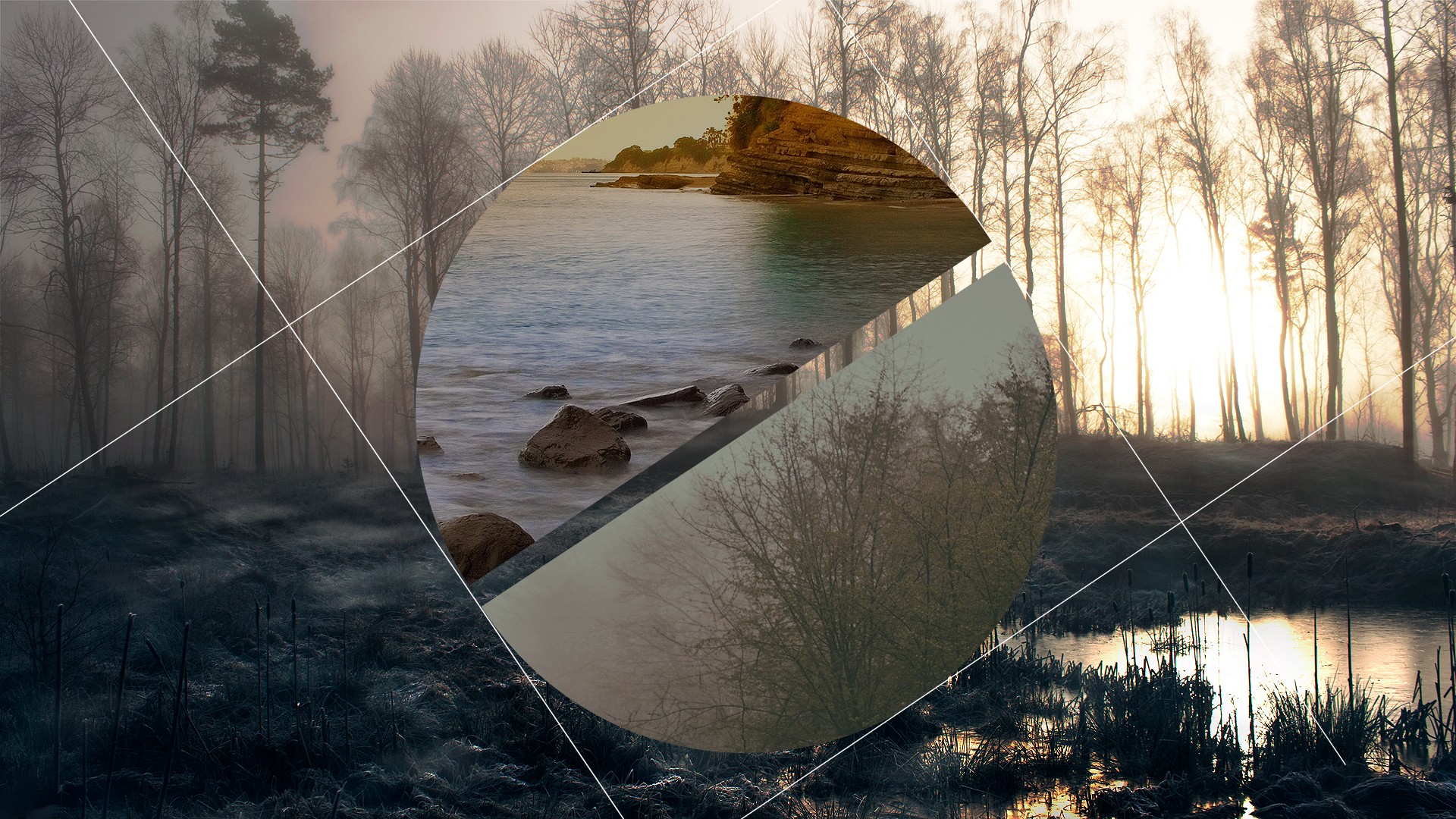Digital art with trees, water, and geometric lines HD Wallpaper