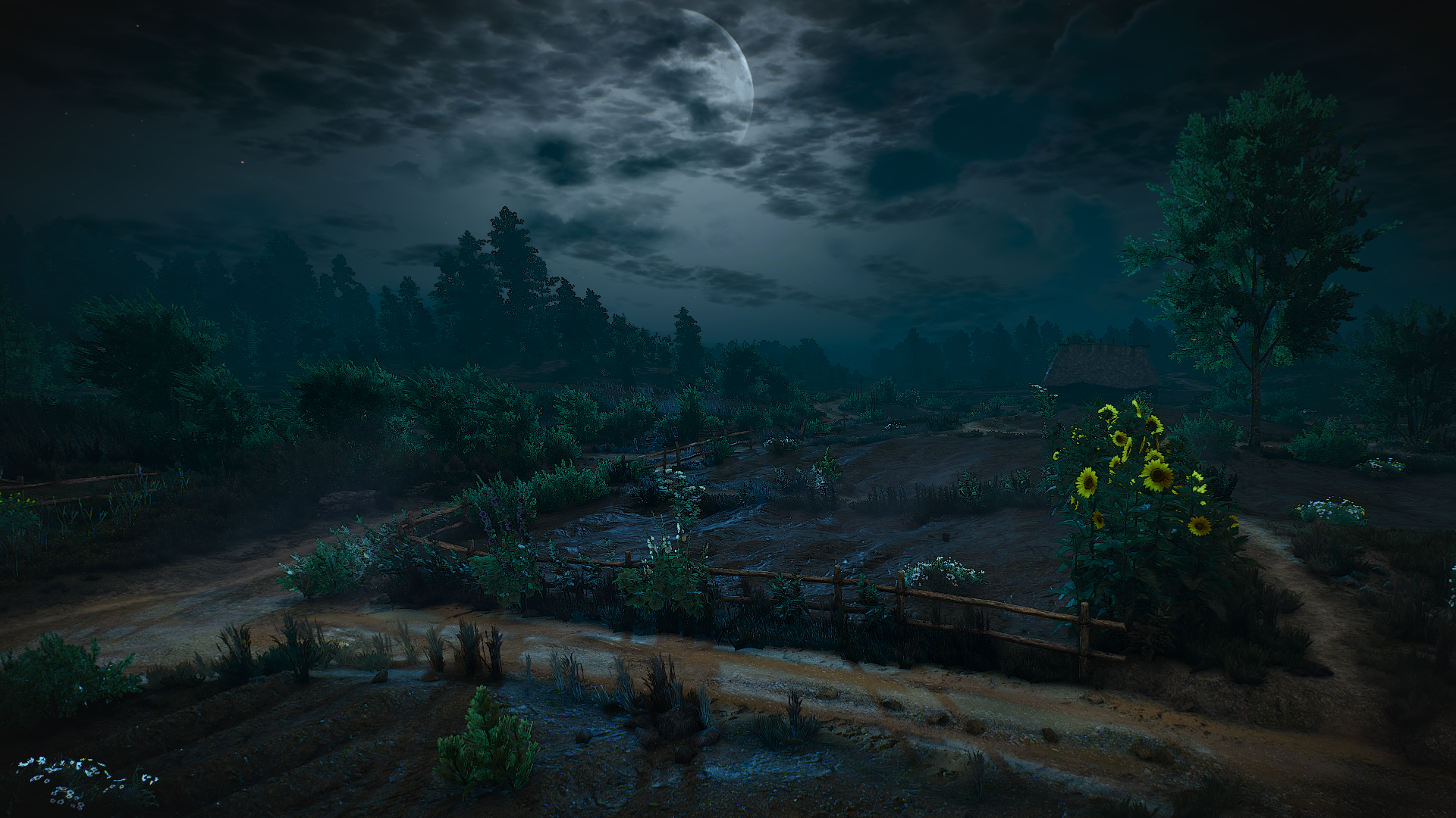 The Witcher 3: Wild Hunt night landscape with moon HD Wallpaper