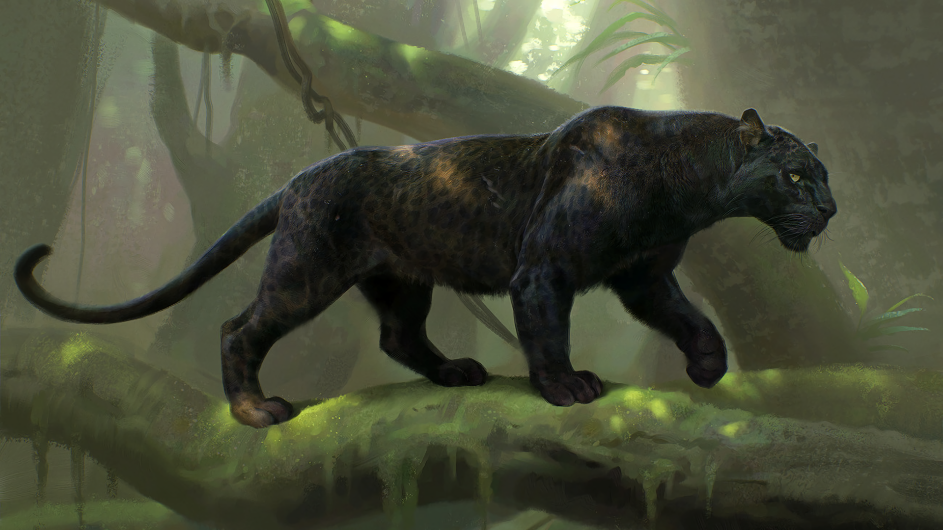 Black Panther walking on a mossy tree branch HD Wallpaper