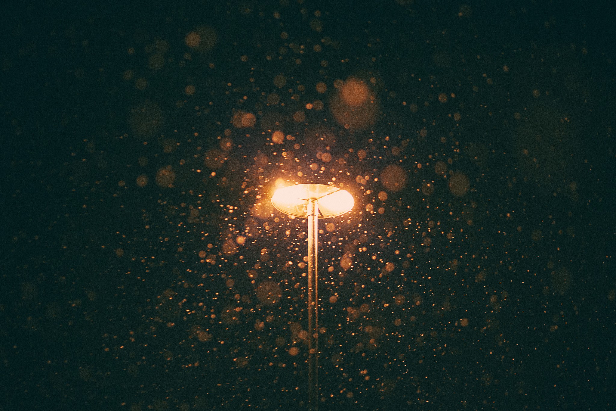 Street light in the snow at night HD Wallpaper