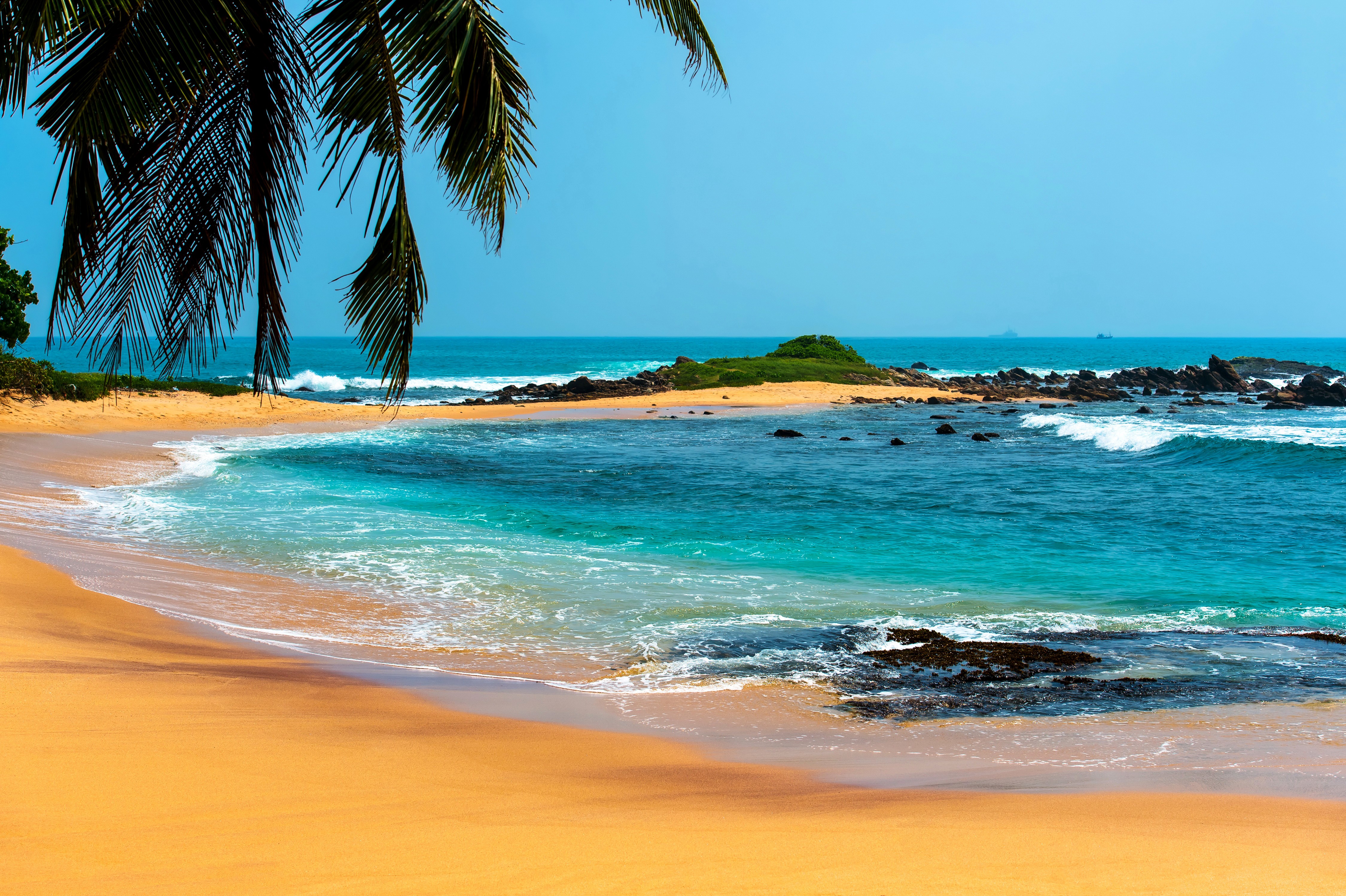 Tropical beach with palm trees and ocean waves HD Wallpaper