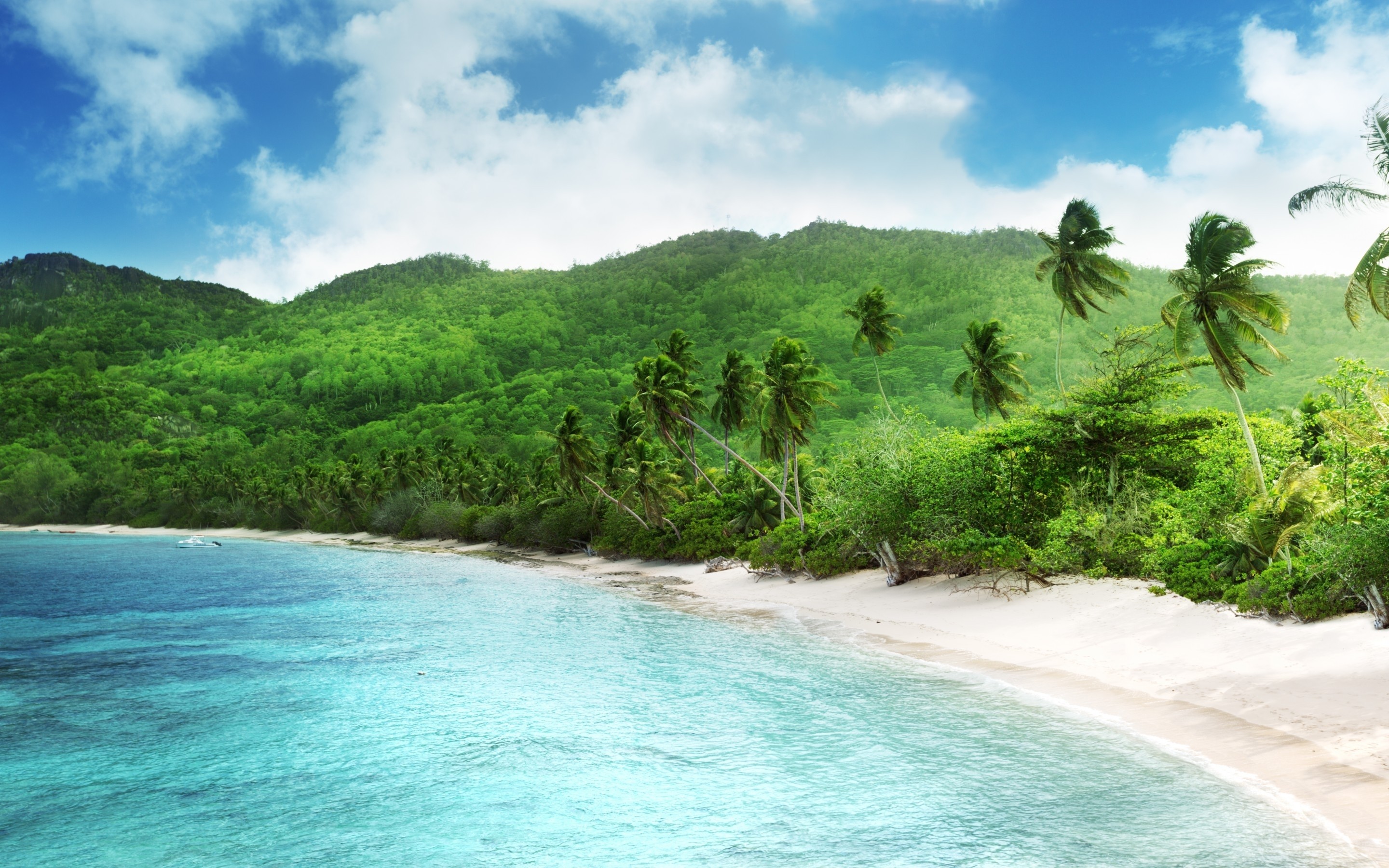 Tropical beach with palm trees and green mountains HD Wallpaper